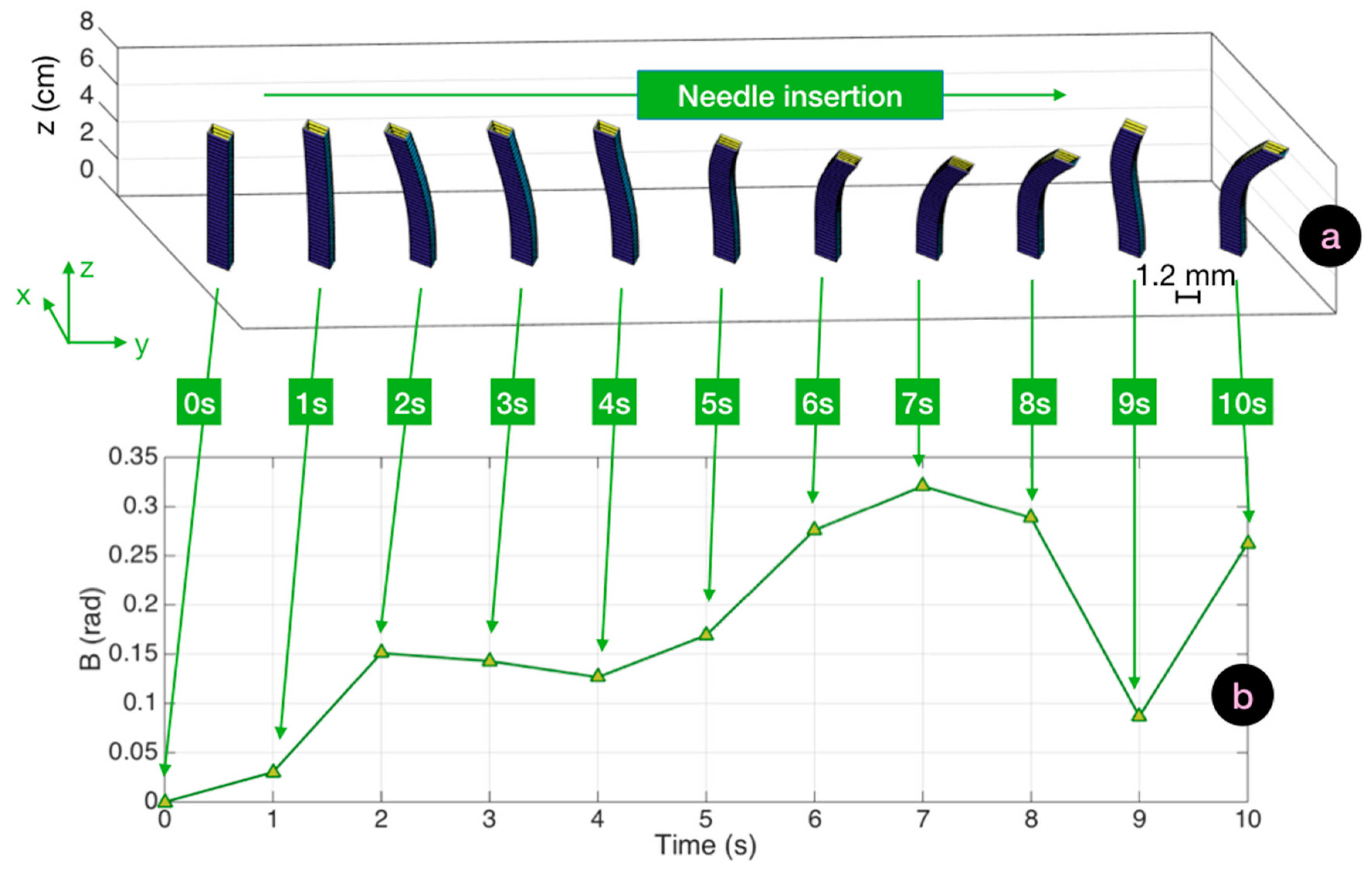 Biosensors 11 00446 g006