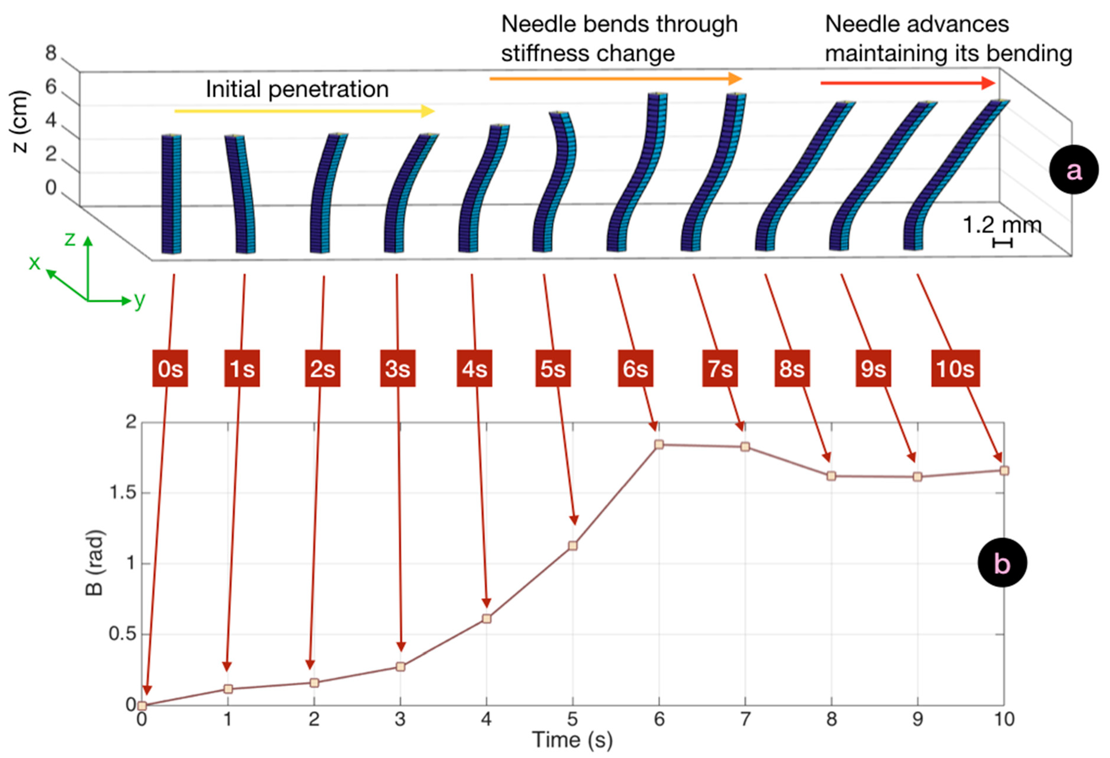 Biosensors 11 00446 g007