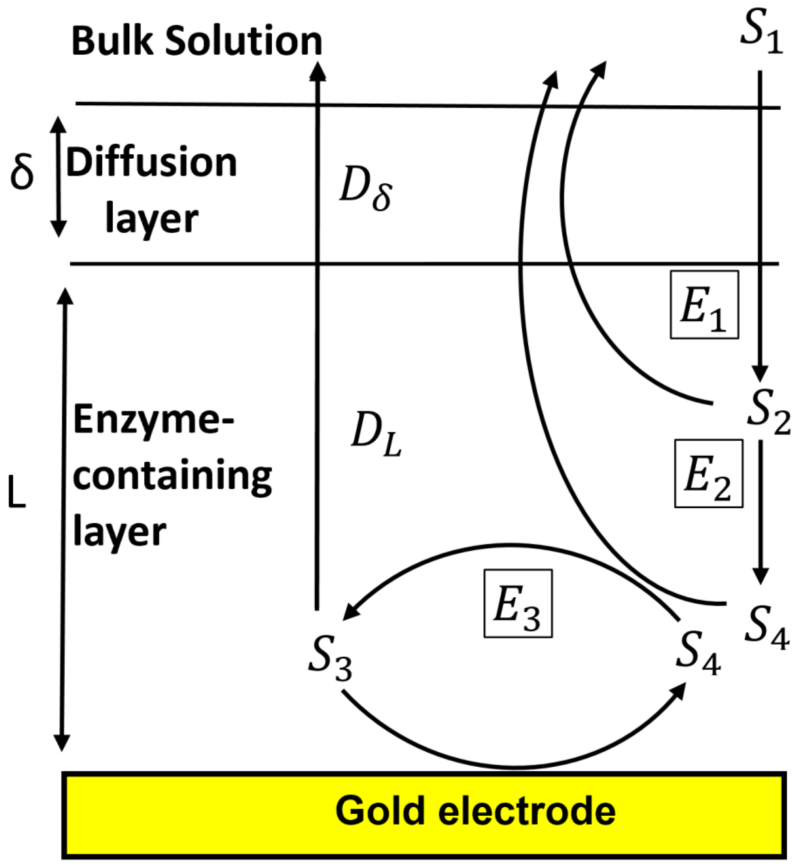Biosensors 11 00459 g001