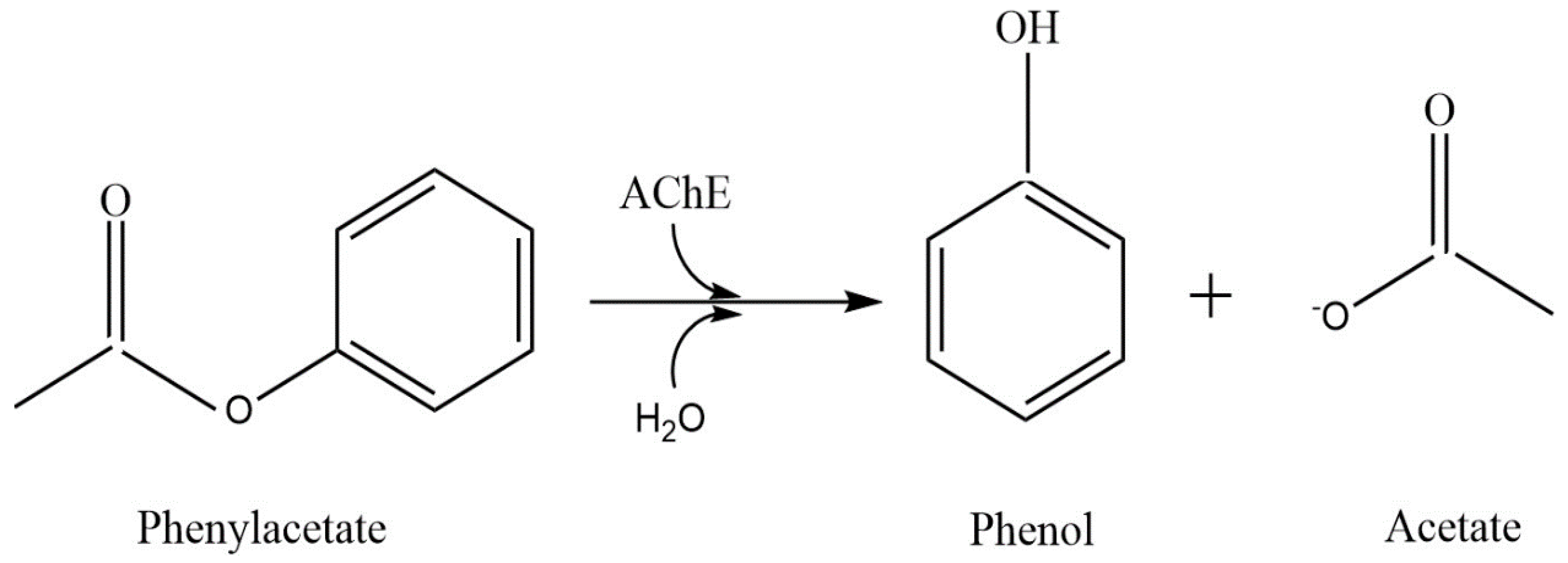 Biosensors 11 00459 g002