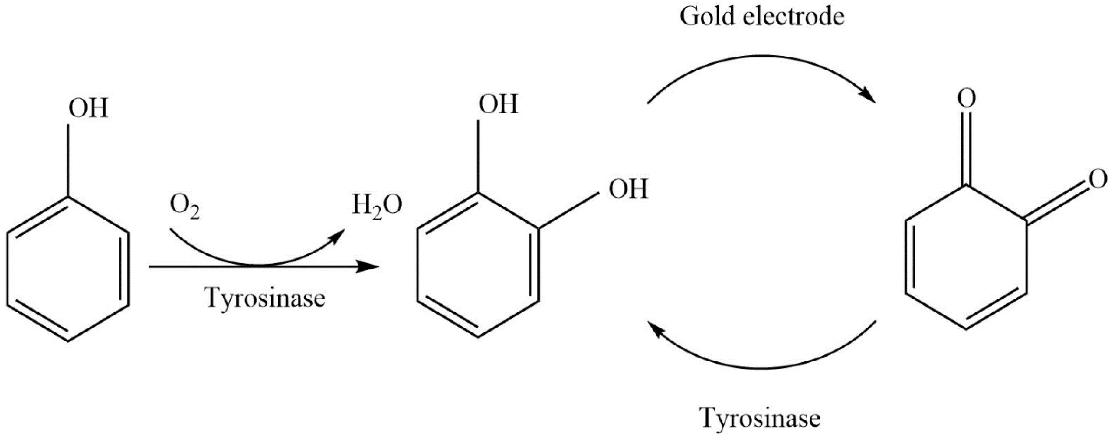 Biosensors 11 00459 g005