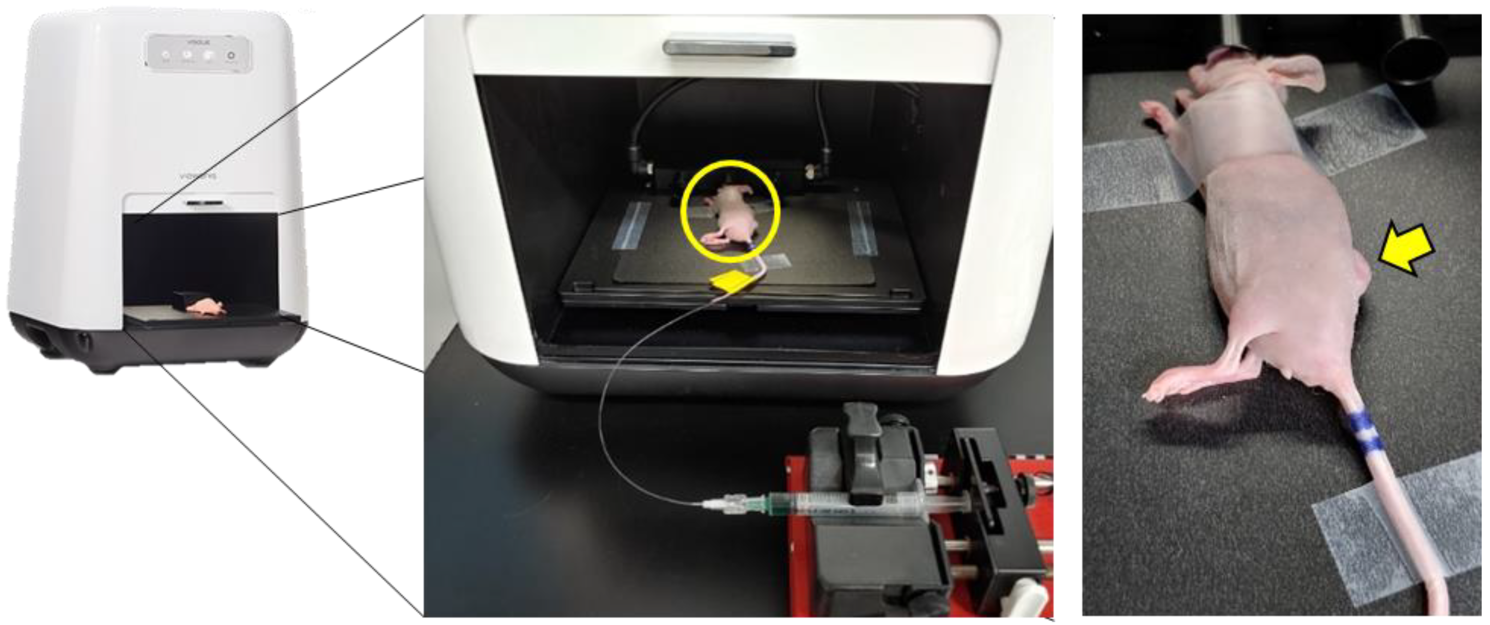 Biosensors 11 00471 g001