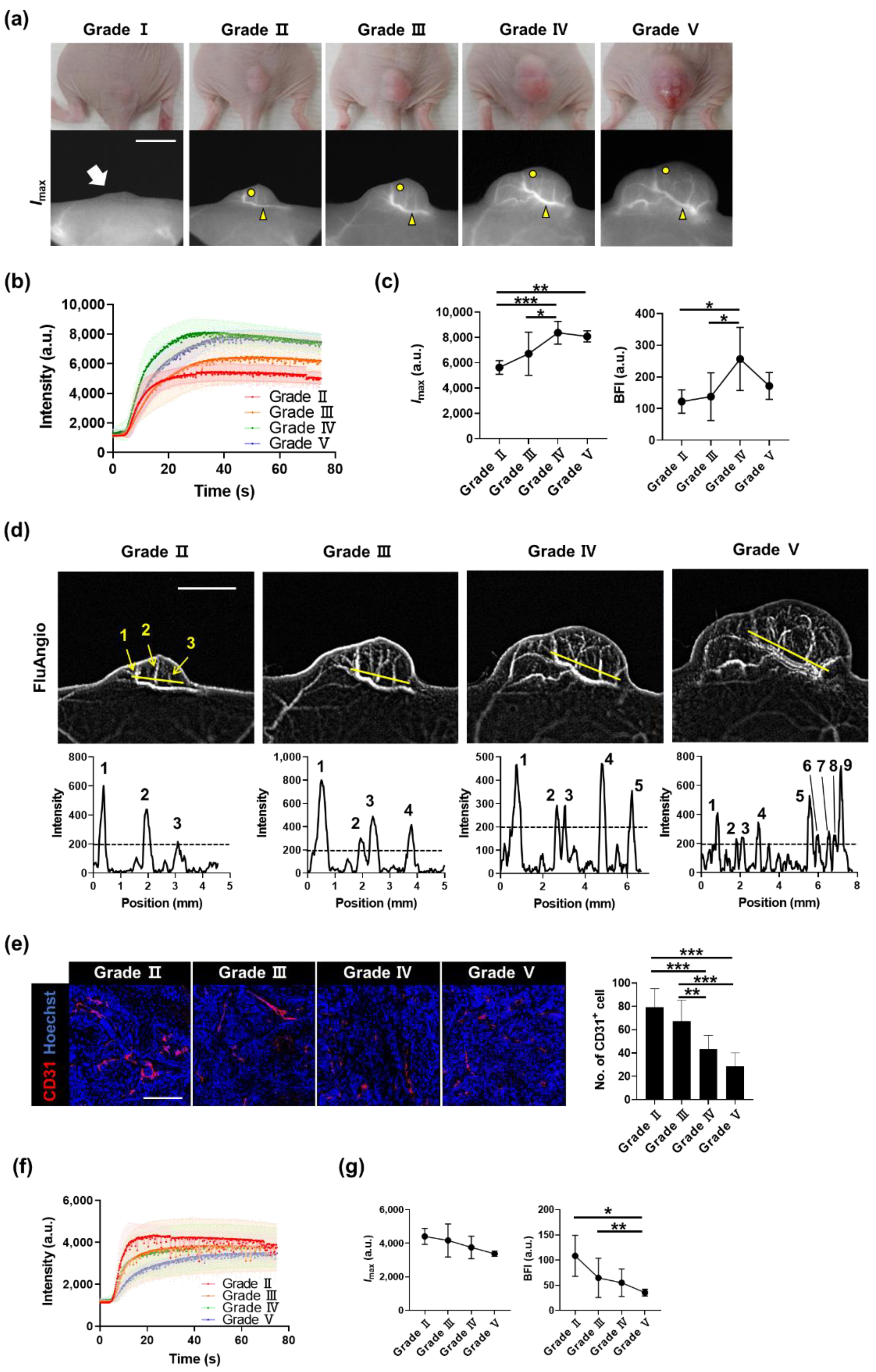 Biosensors 11 00471 g004