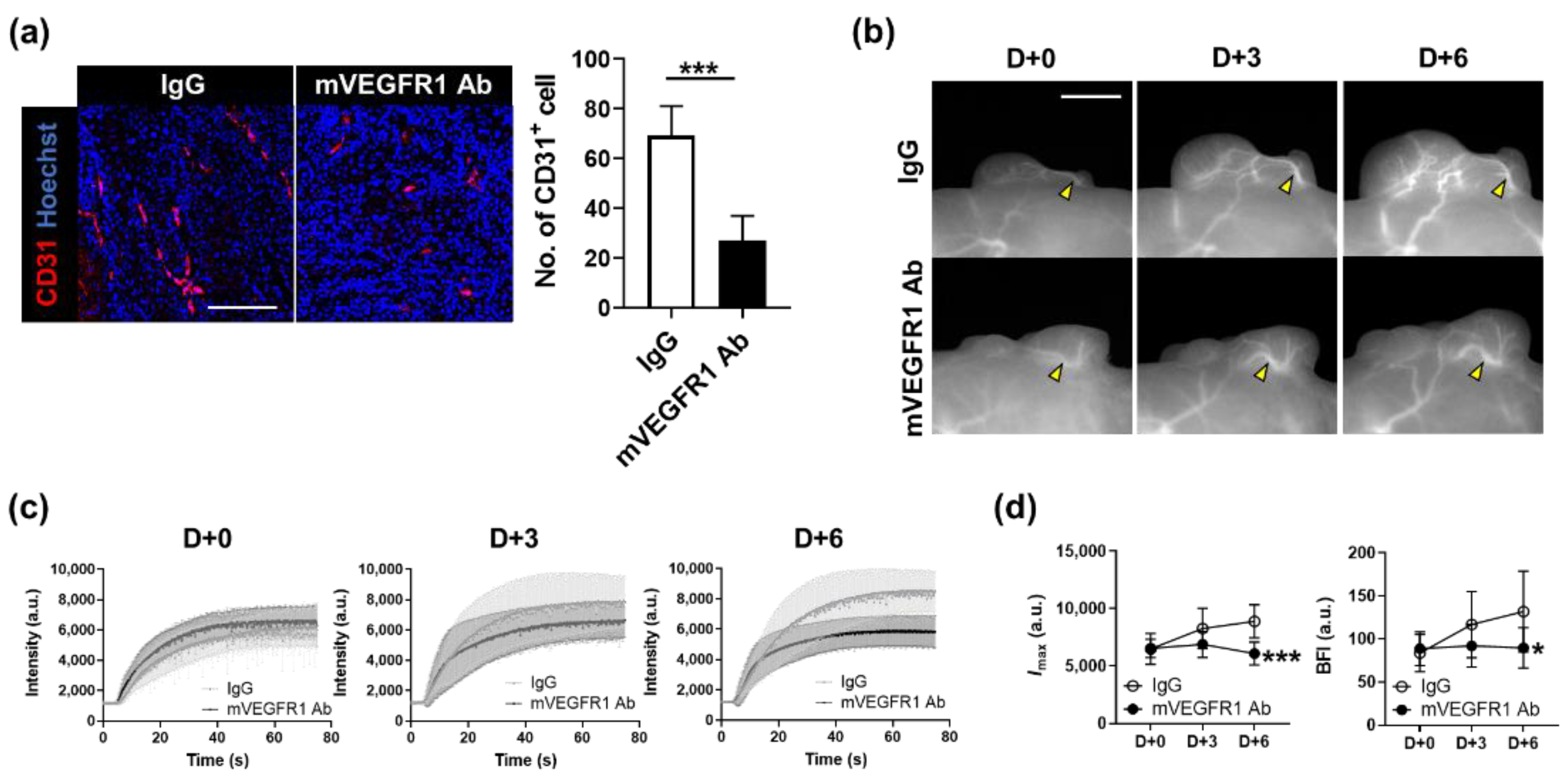 Biosensors 11 00471 g005