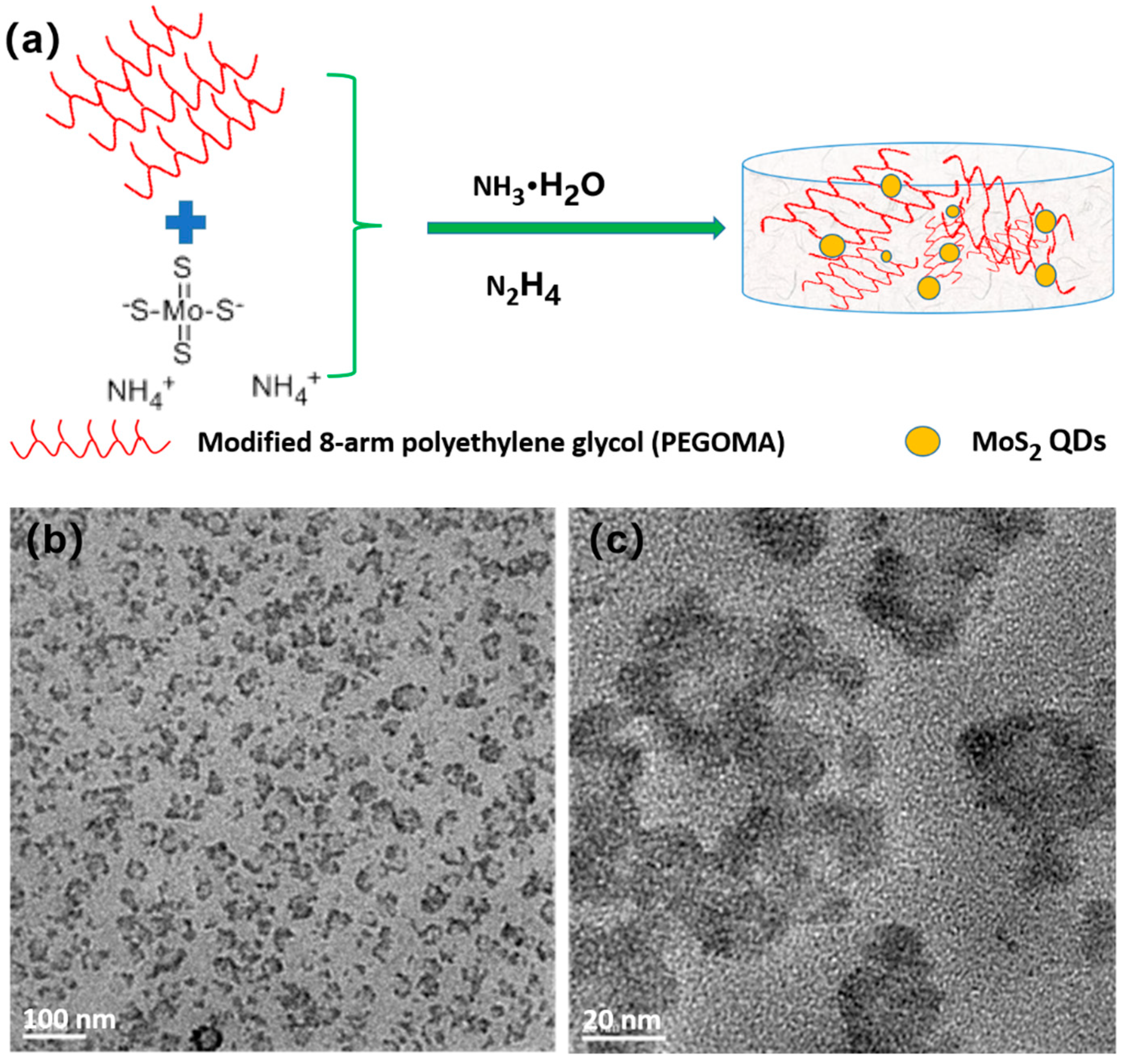 Biosensors 11 00475 g001
