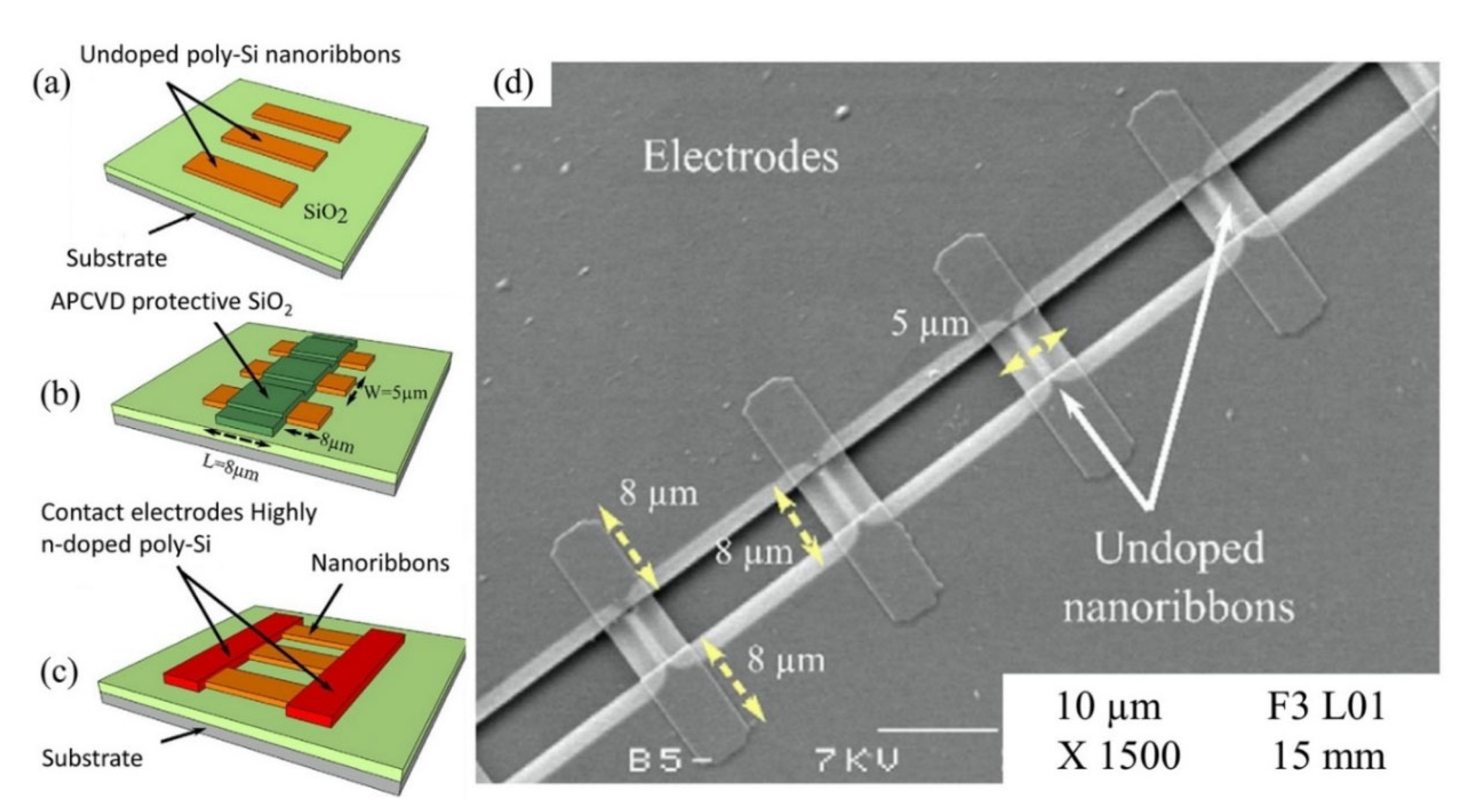 Biosensors 11 00478 g005