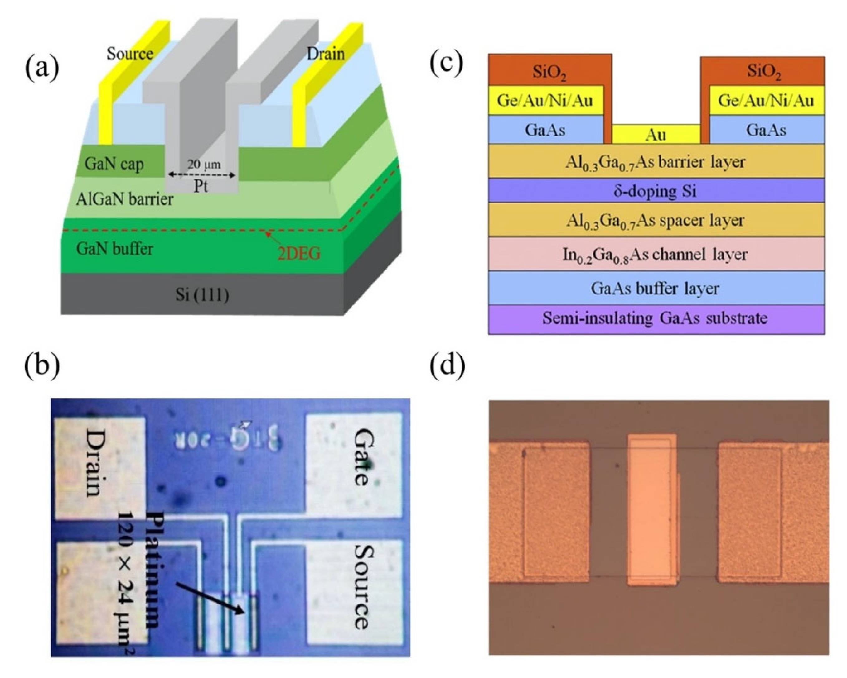 Biosensors 11 00478 g009