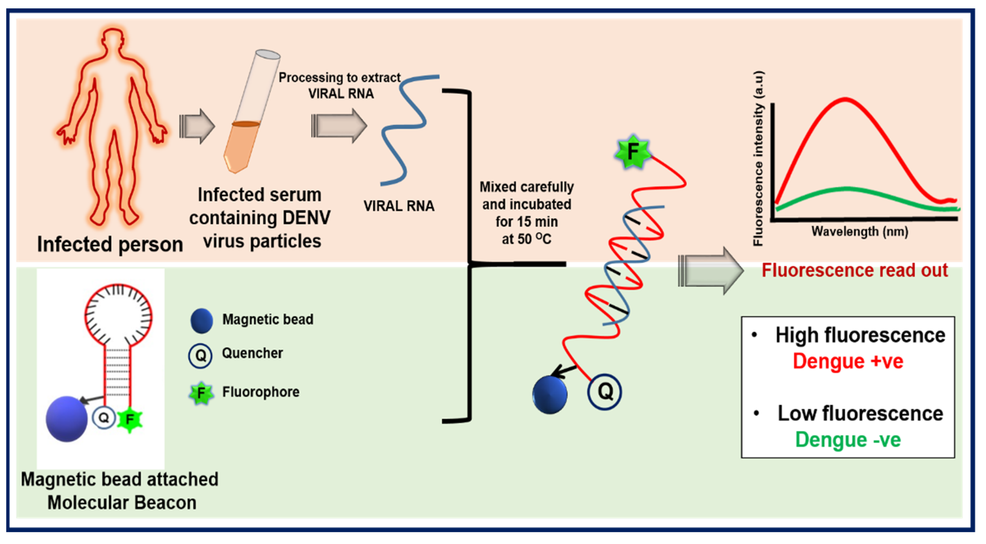 Biosensors 11 00479 sch001