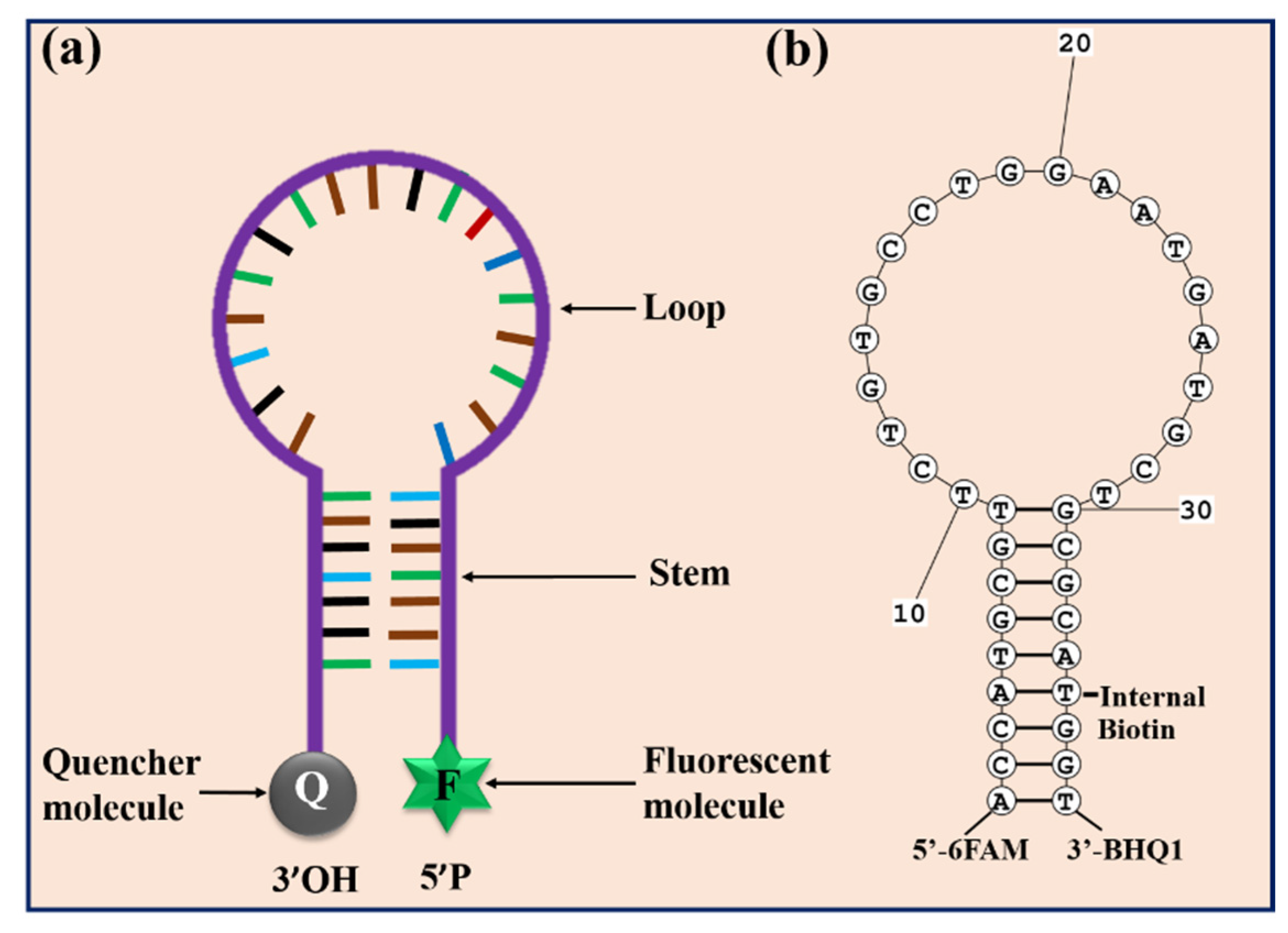 Biosensors 11 00479 sch002
