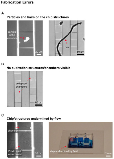Biosensors 11 00485 g0a1