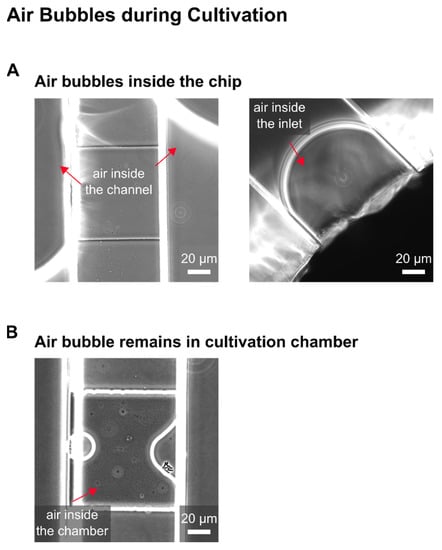 Biosensors 11 00485 g0a4