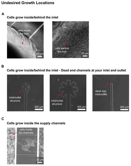 Biosensors 11 00485 g0a6