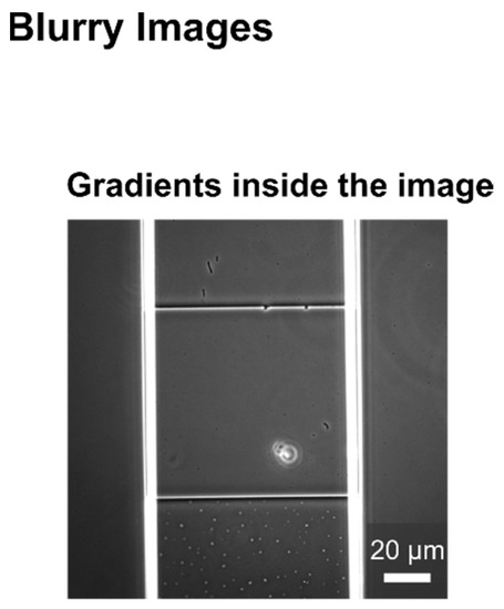 Biosensors 11 00485 g0a7