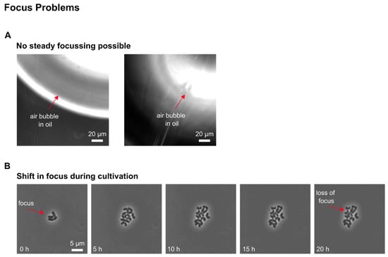 Biosensors 11 00485 g0a8