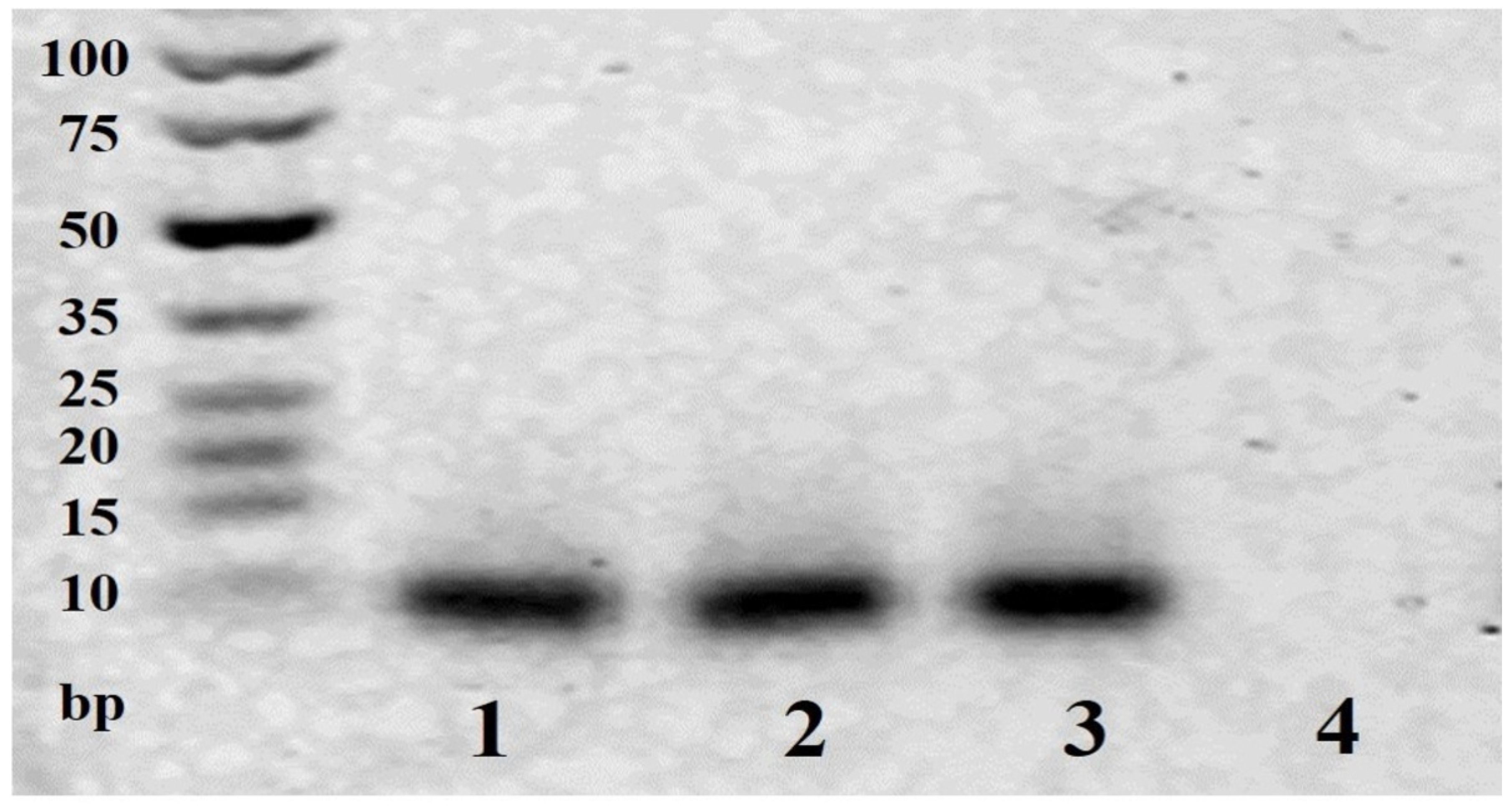 Biosensors 11 00487 g002