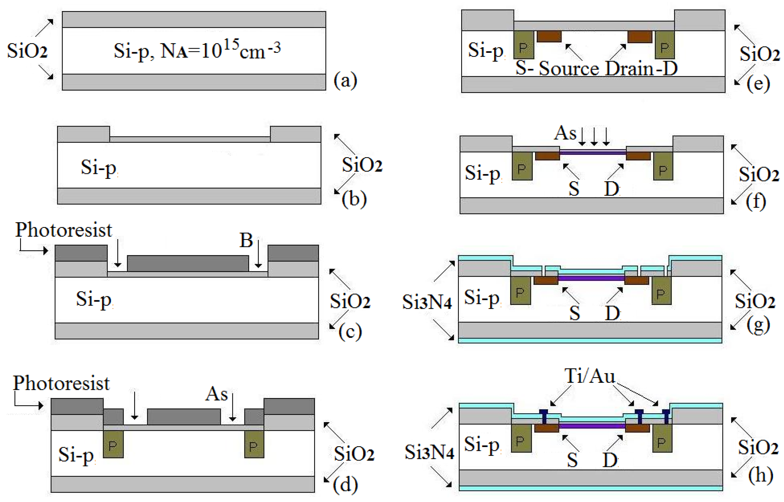 Biosensors 11 00497 g001