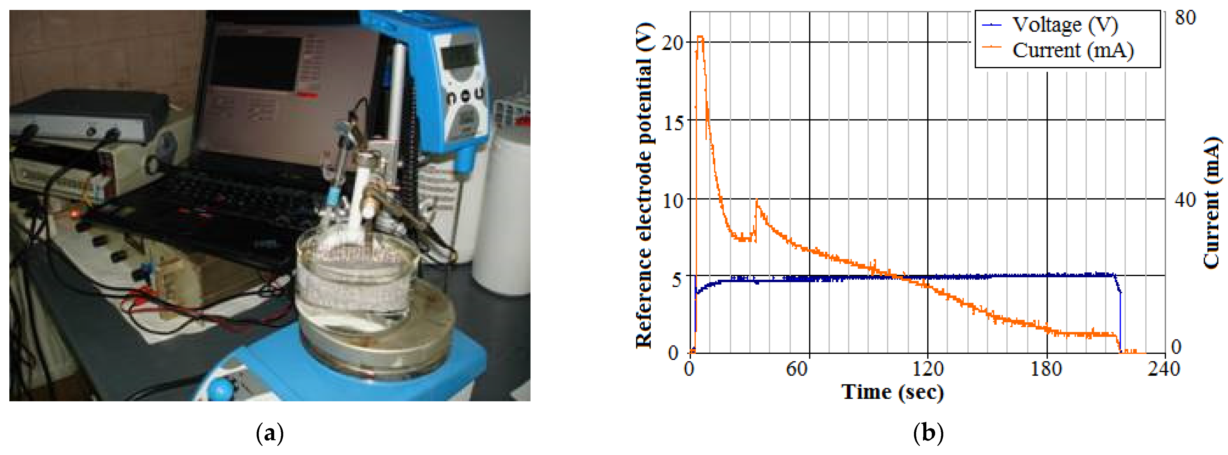 Biosensors 11 00497 g002