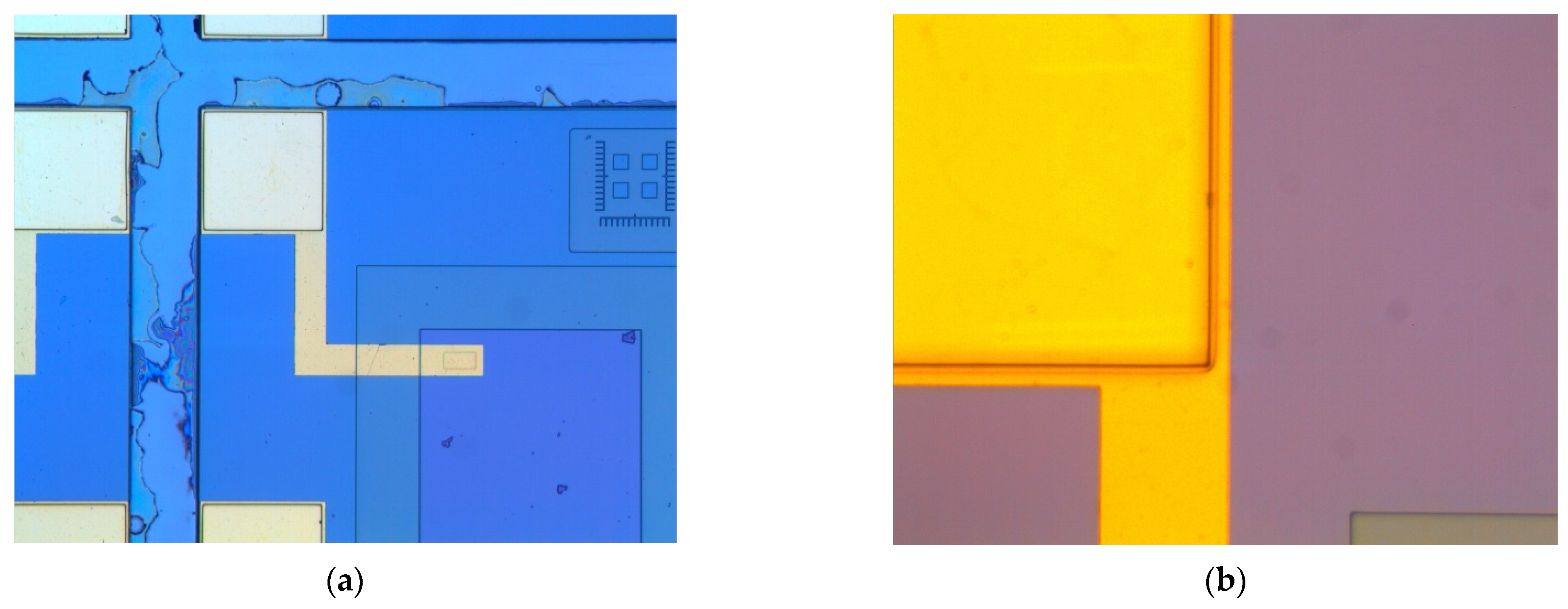 Biosensors 11 00497 g005