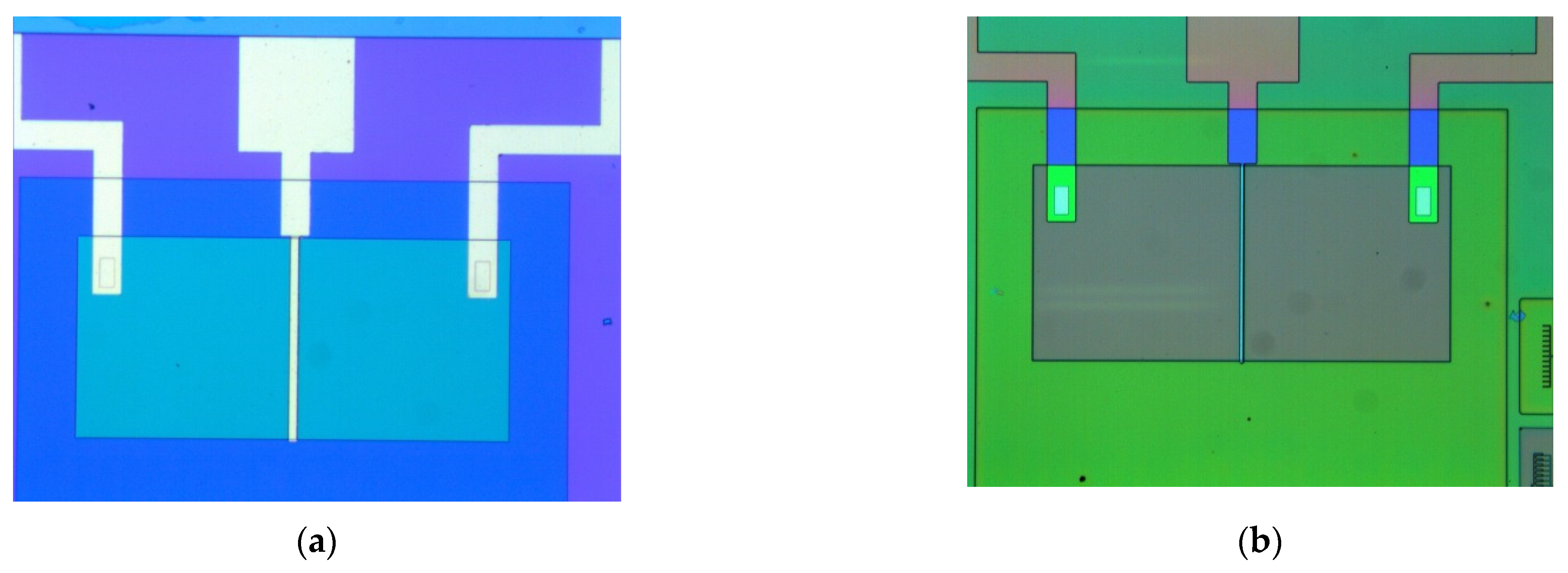 Biosensors 11 00497 g006