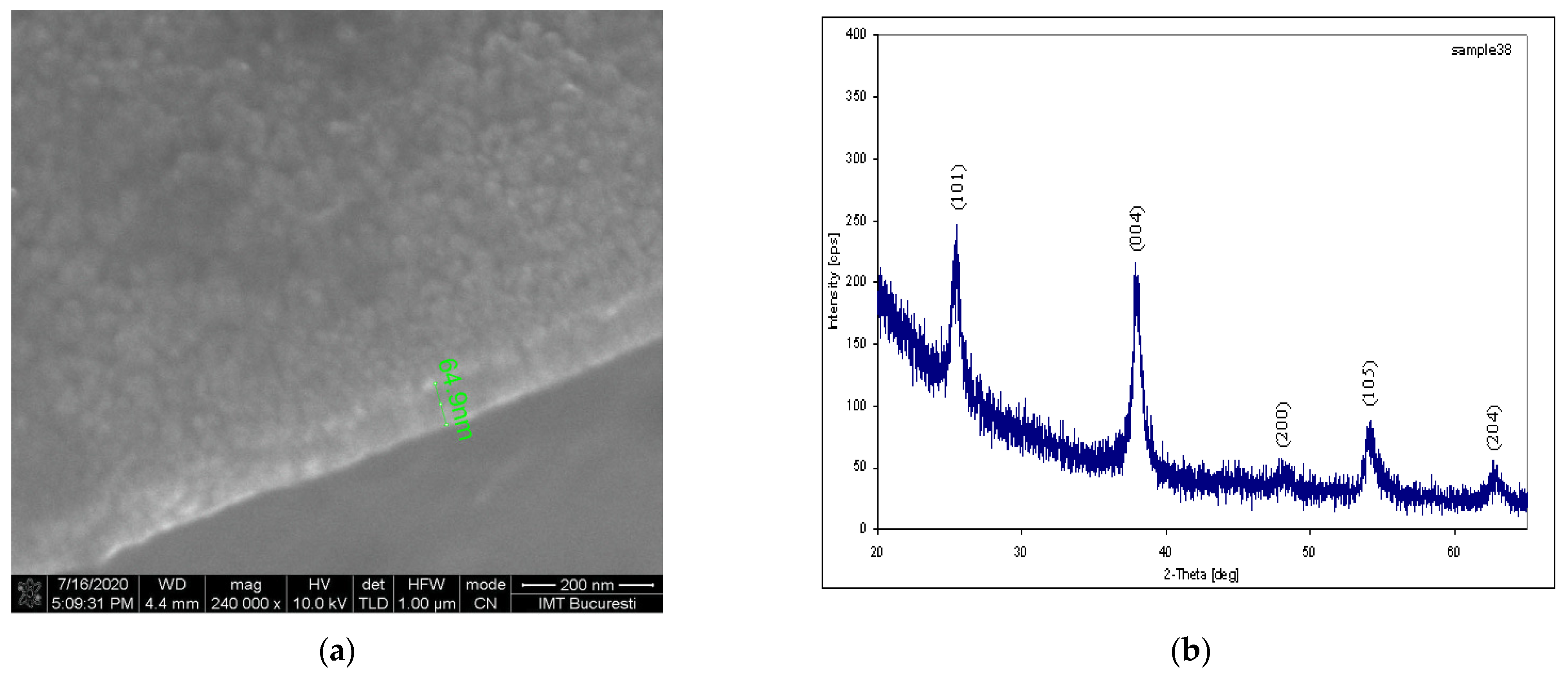 Biosensors 11 00497 g007