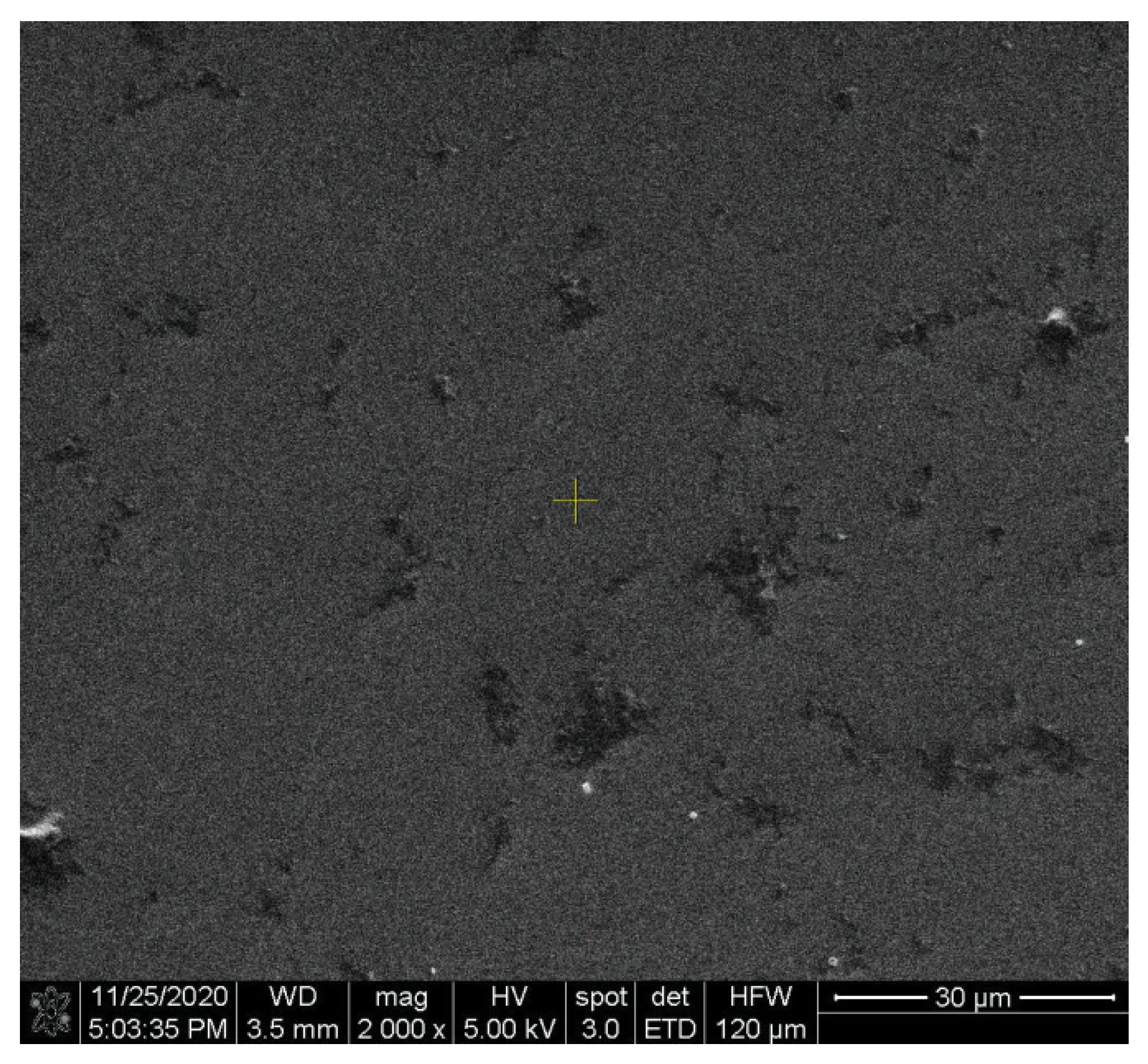 Biosensors 11 00497 g011