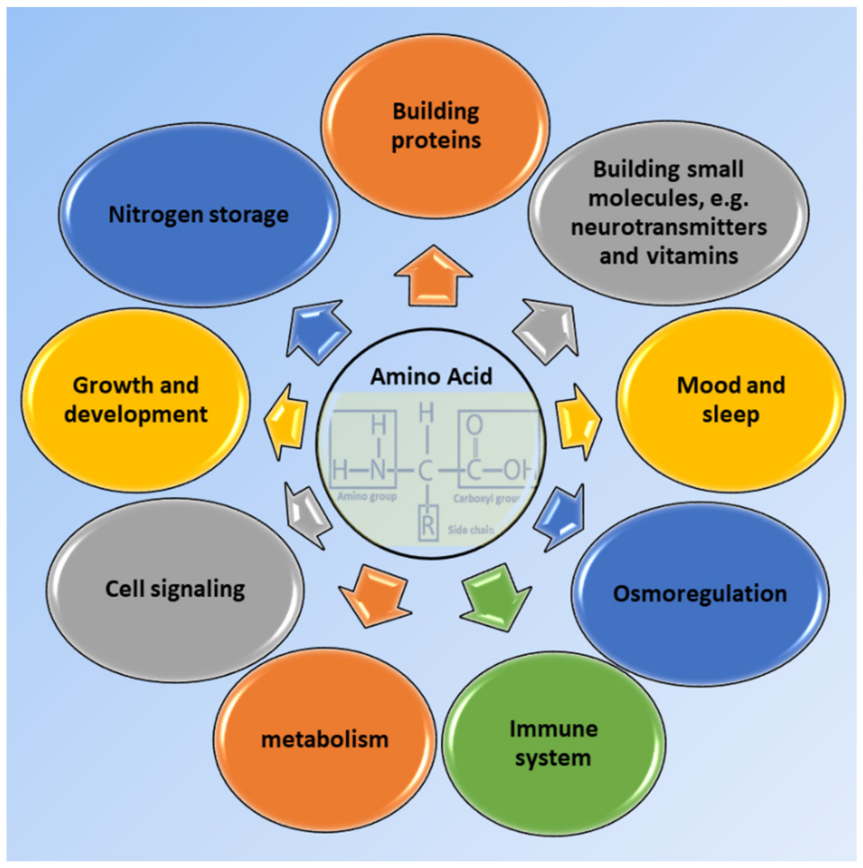 Biosensors 11 00502 g001