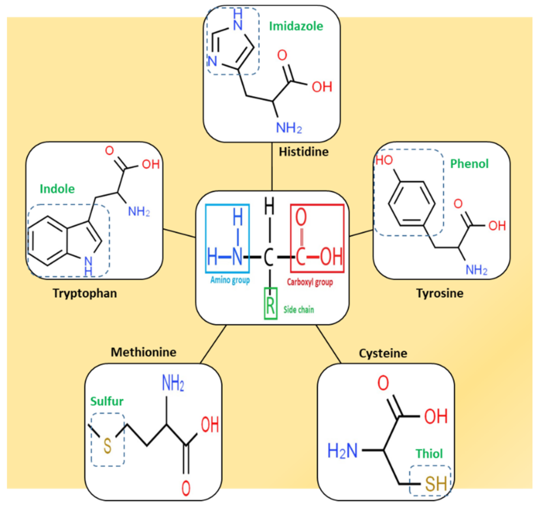 Biosensors 11 00502 g003