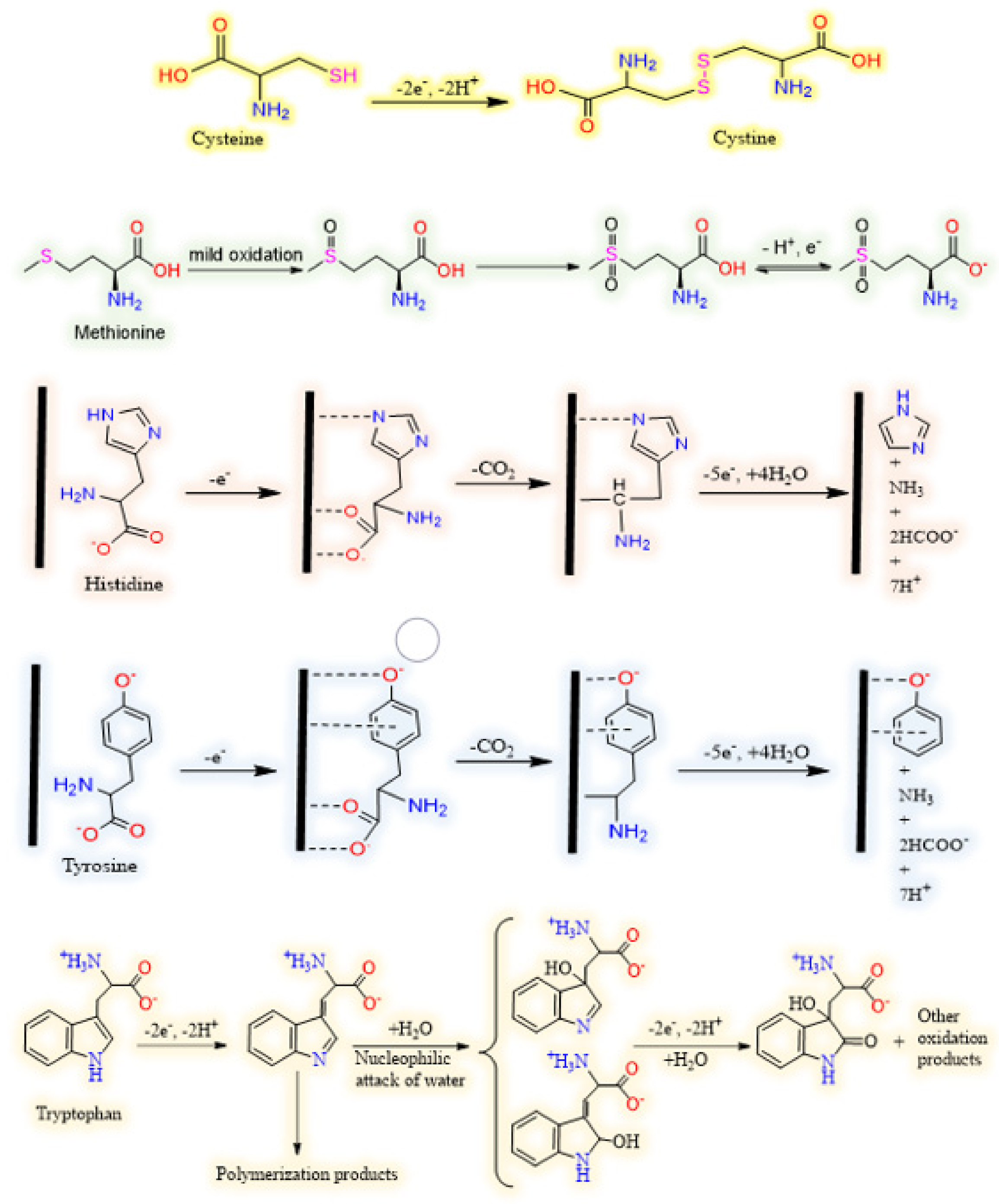 Biosensors 11 00502 g004