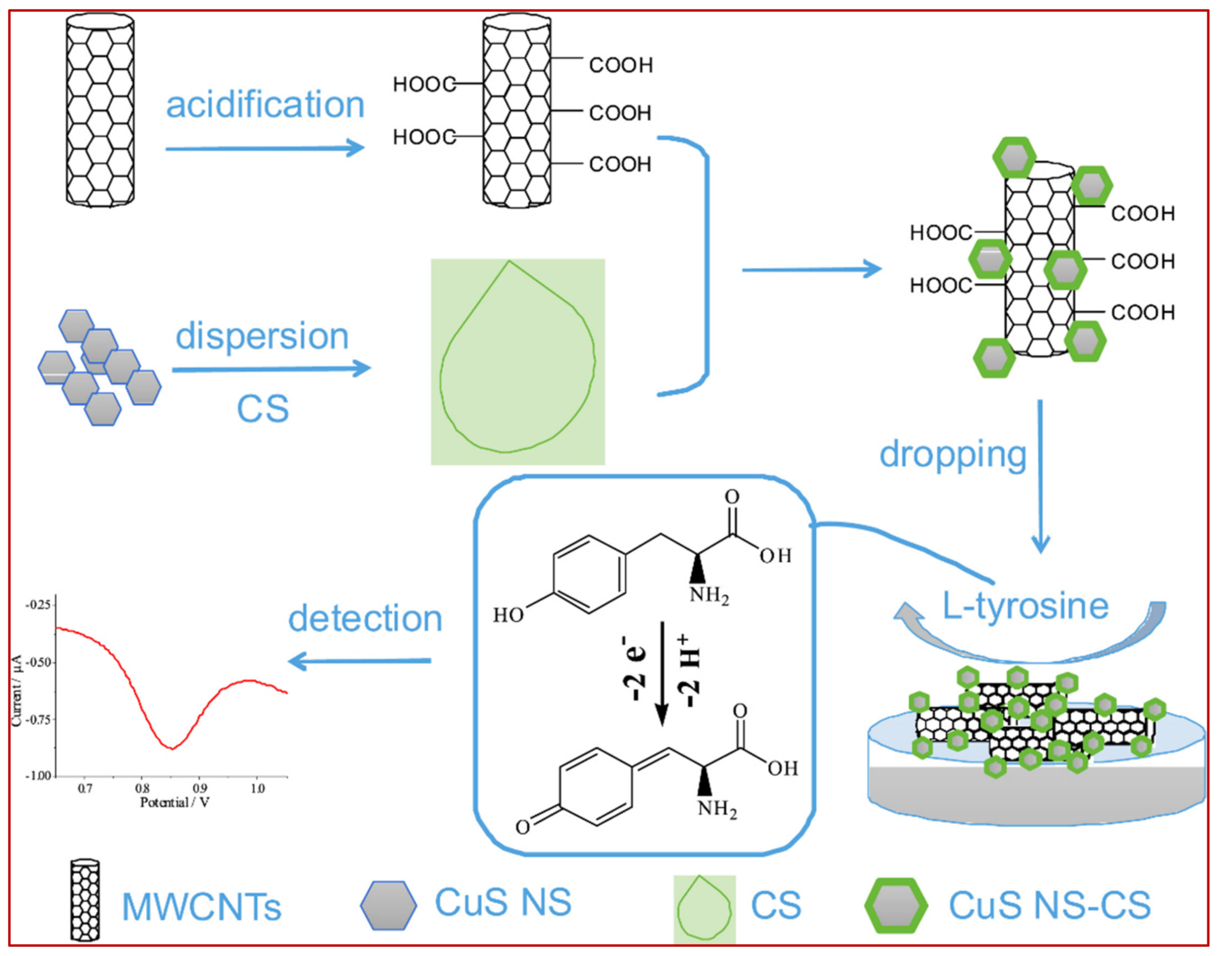 Biosensors 11 00502 g013