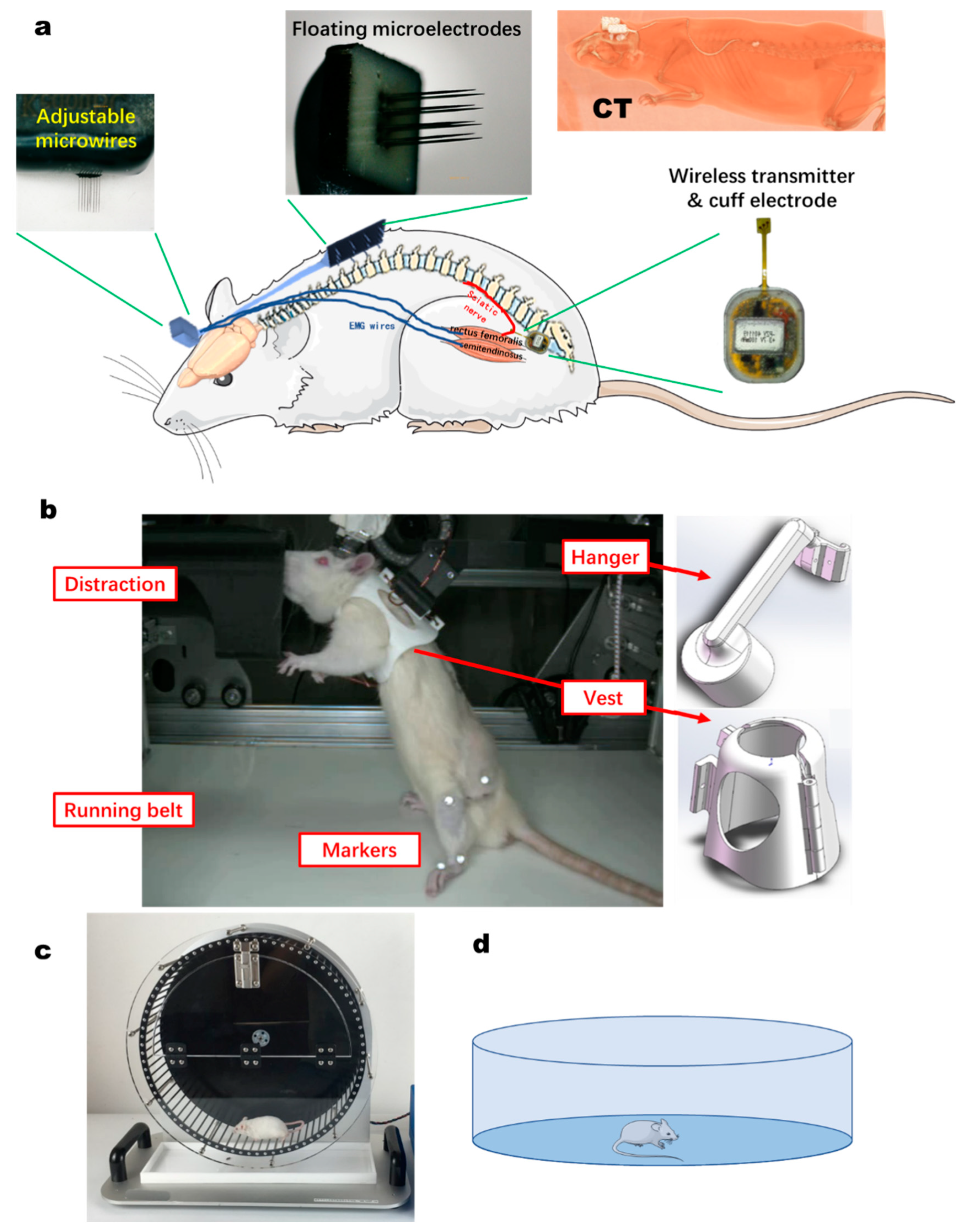 Biosensors 11 00503 g002 Biosensors 11 00503 g002