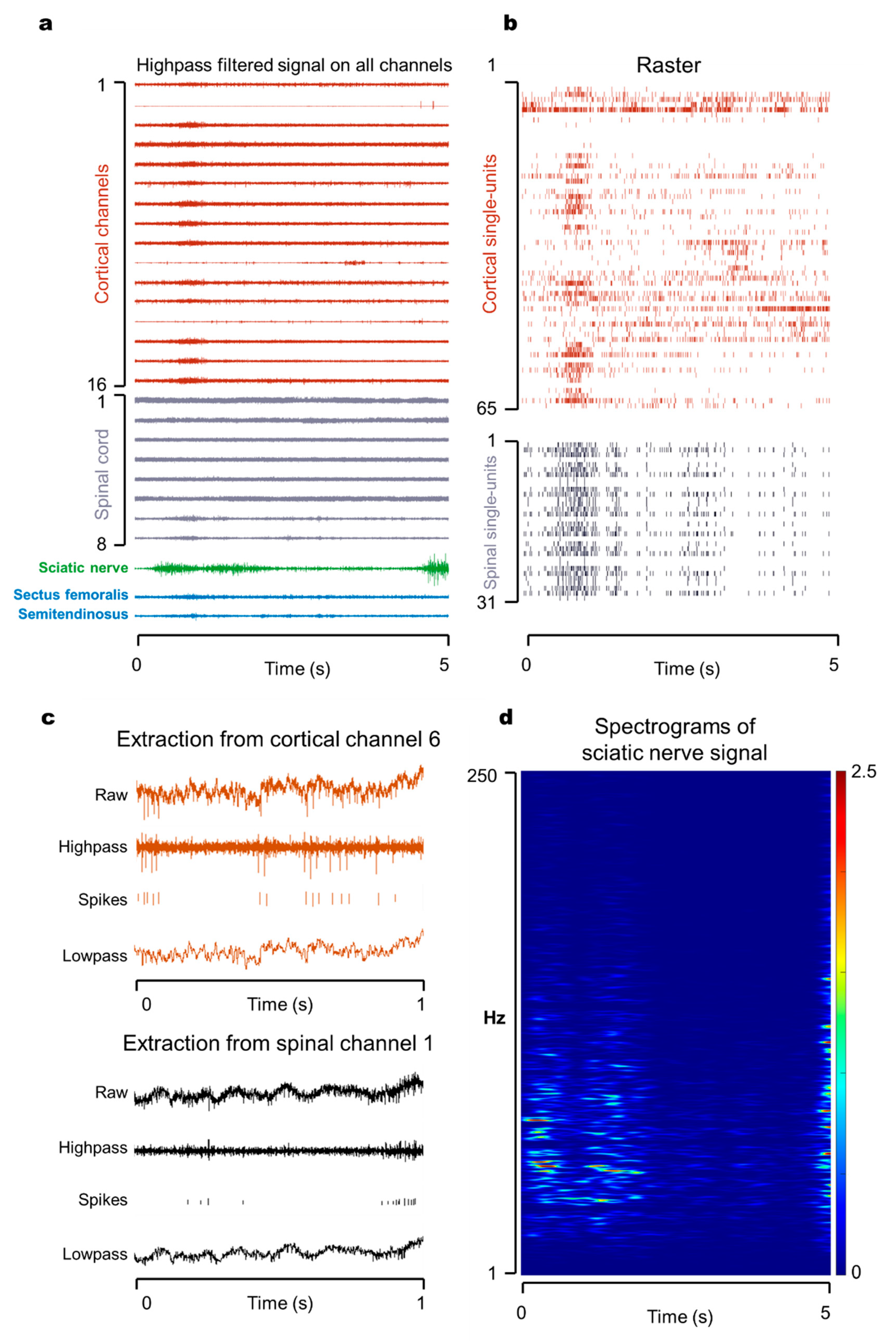 Biosensors 11 00503 g003 Biosensors 11 00503 g003