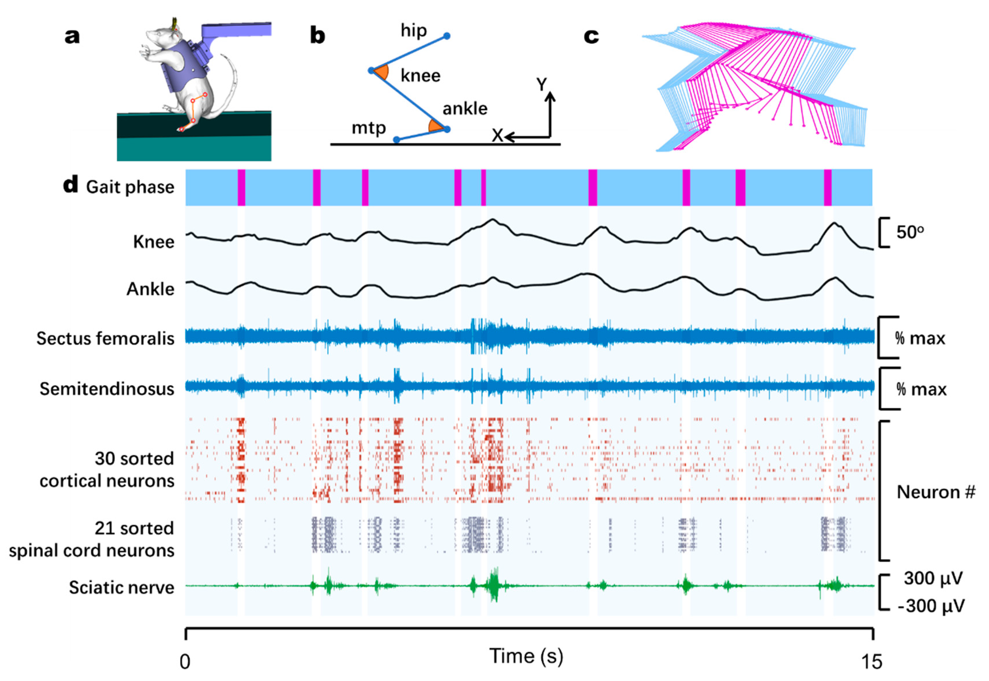 Biosensors 11 00503 g004 Biosensors 11 00503 g004