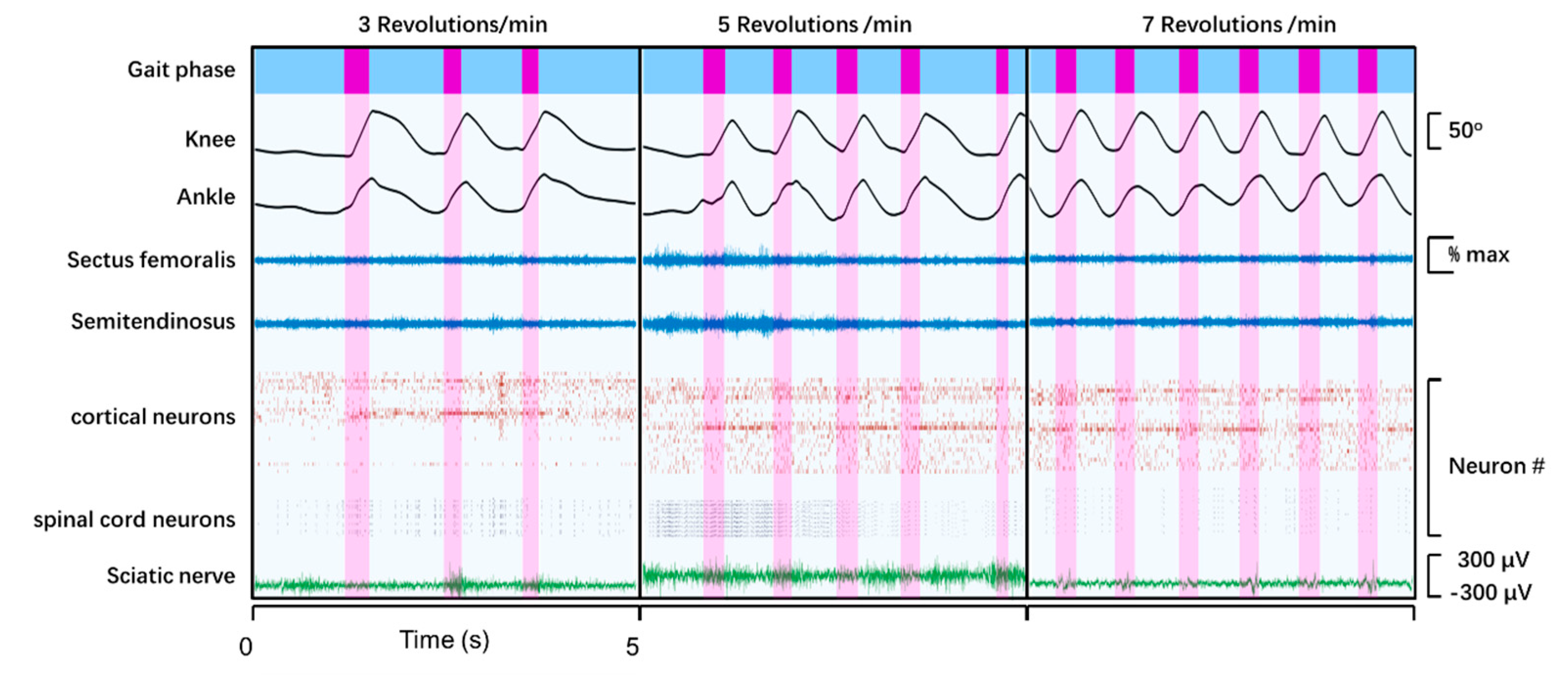 Biosensors 11 00503 g005 Biosensors 11 00503 g005