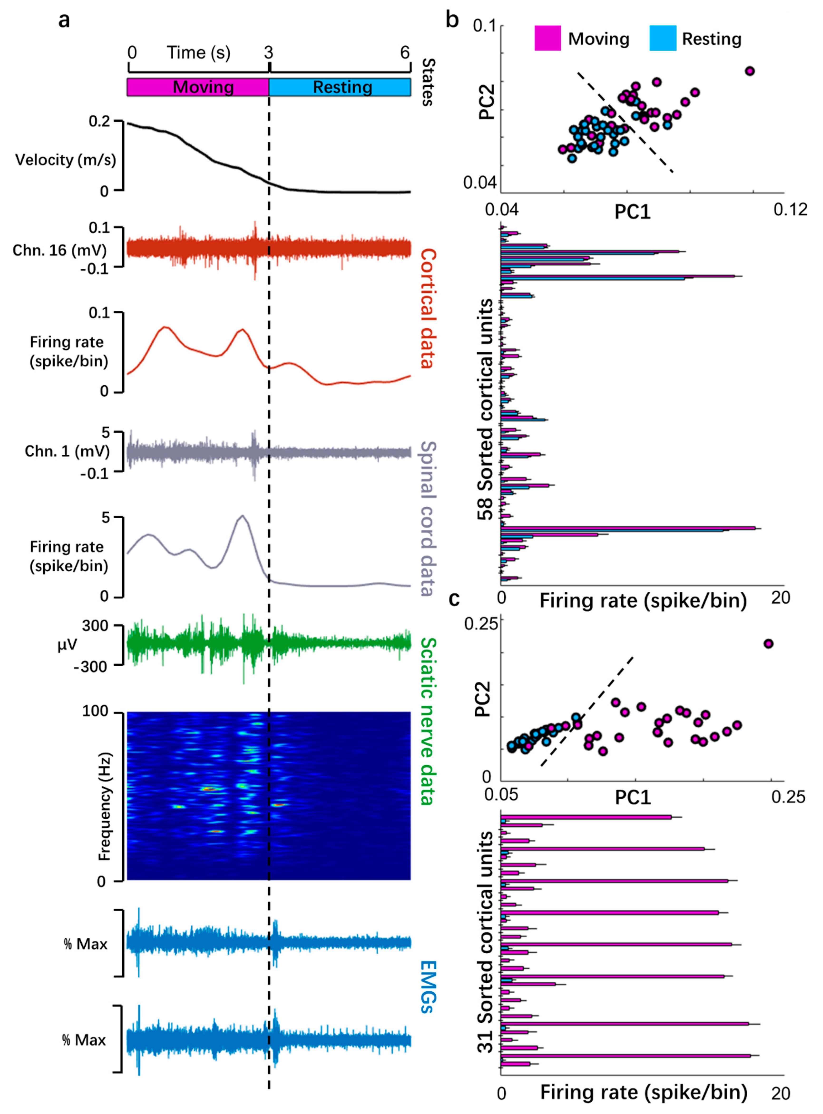 Biosensors 11 00503 g006 Biosensors 11 00503 g006