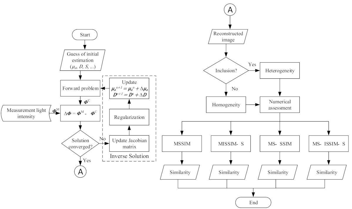 Biosensors 11 00504 g001