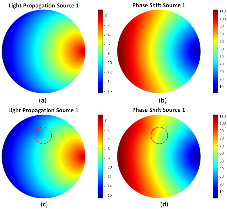 Biosensors 11 00504 g007