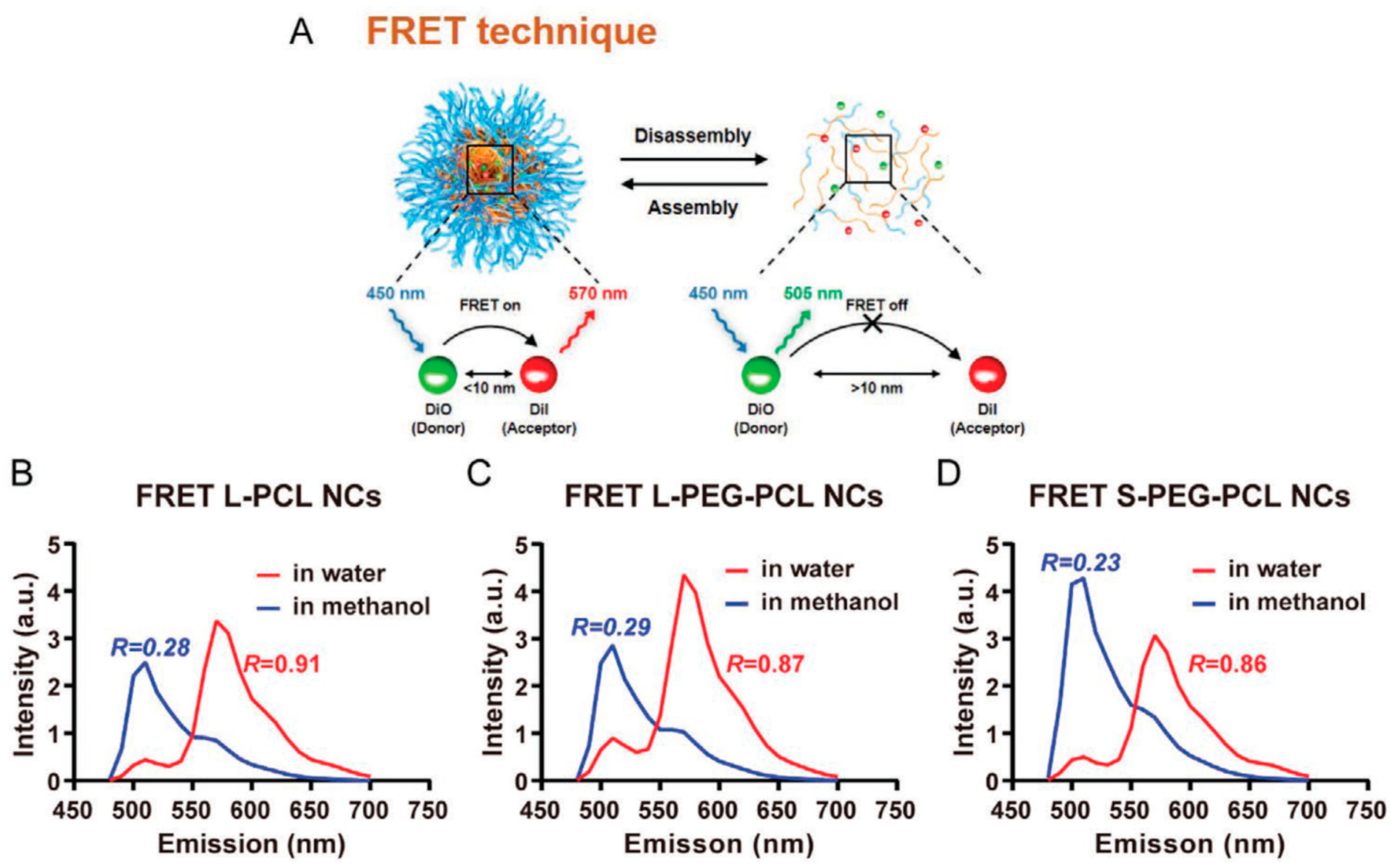 Biosensors 11 00505 g007
