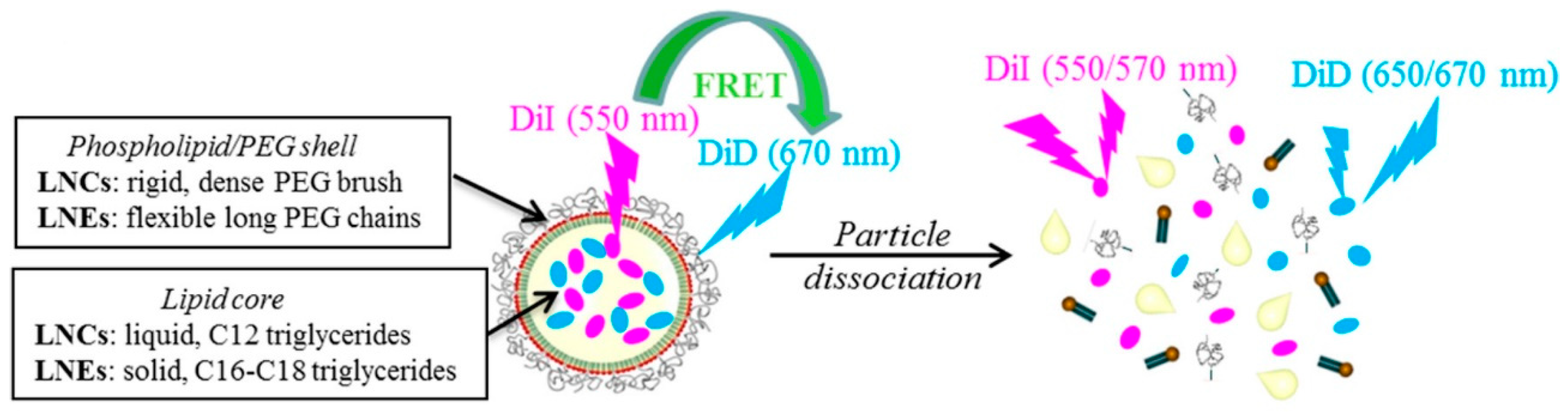 Biosensors 11 00505 g008