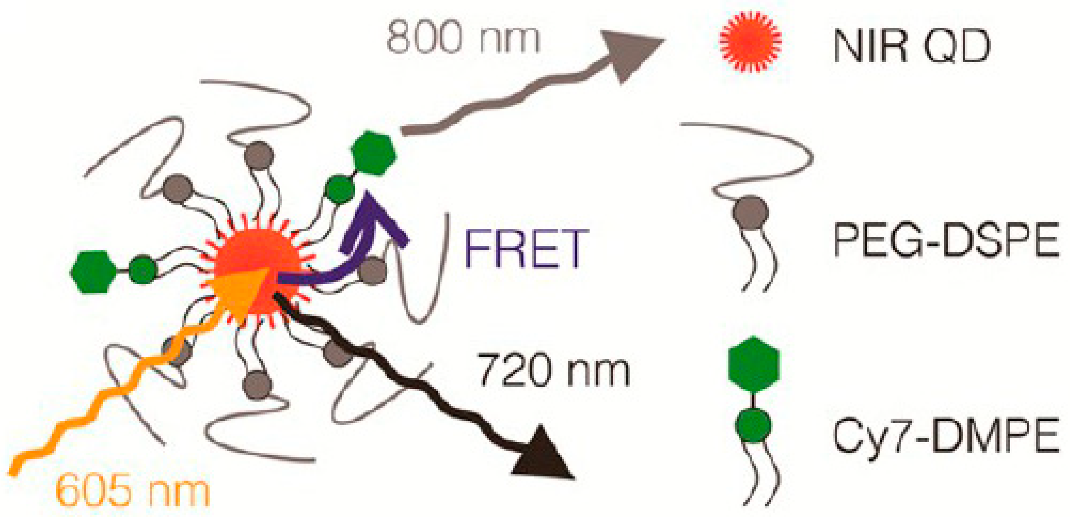 Biosensors 11 00505 g010