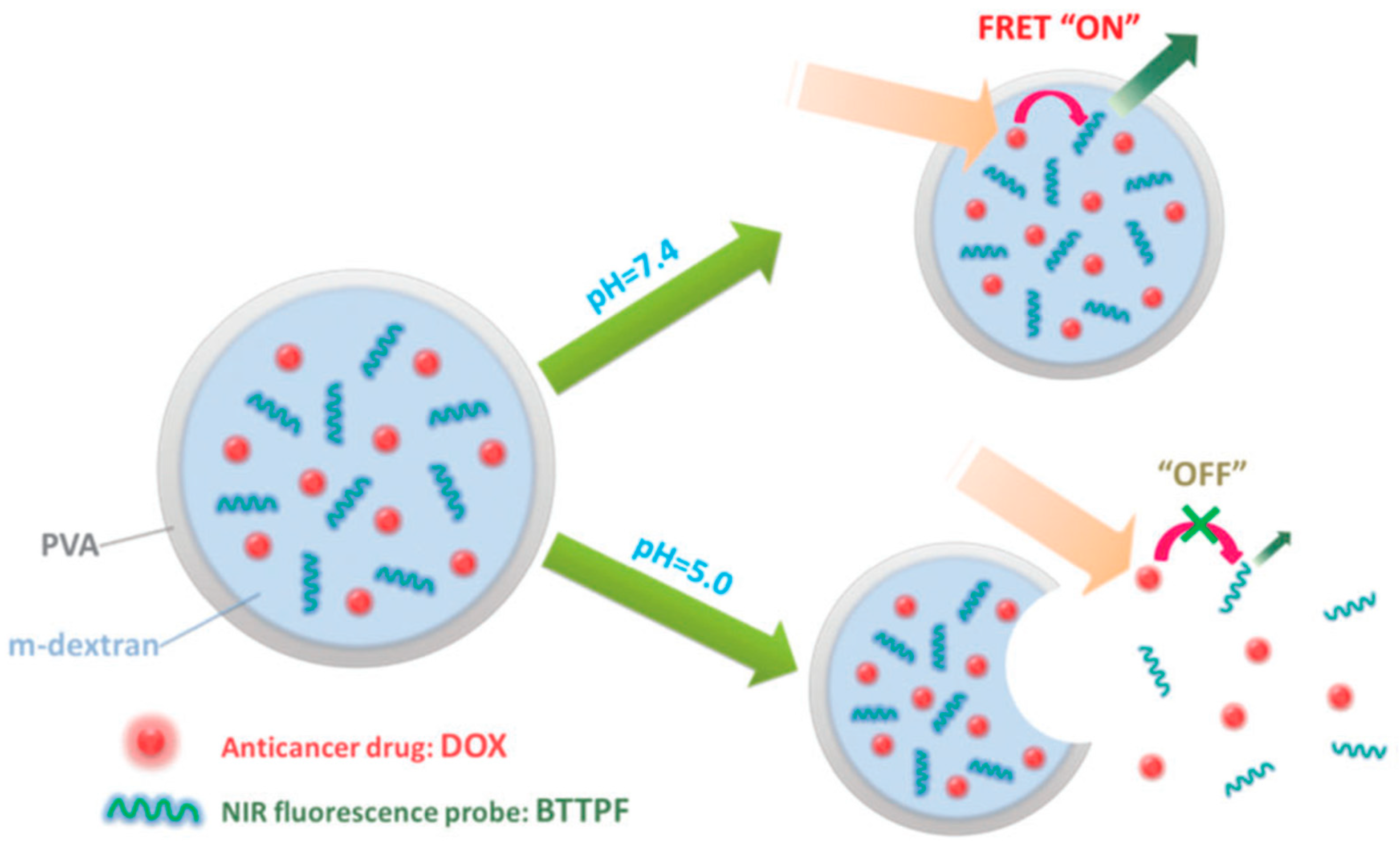 Biosensors 11 00505 g013