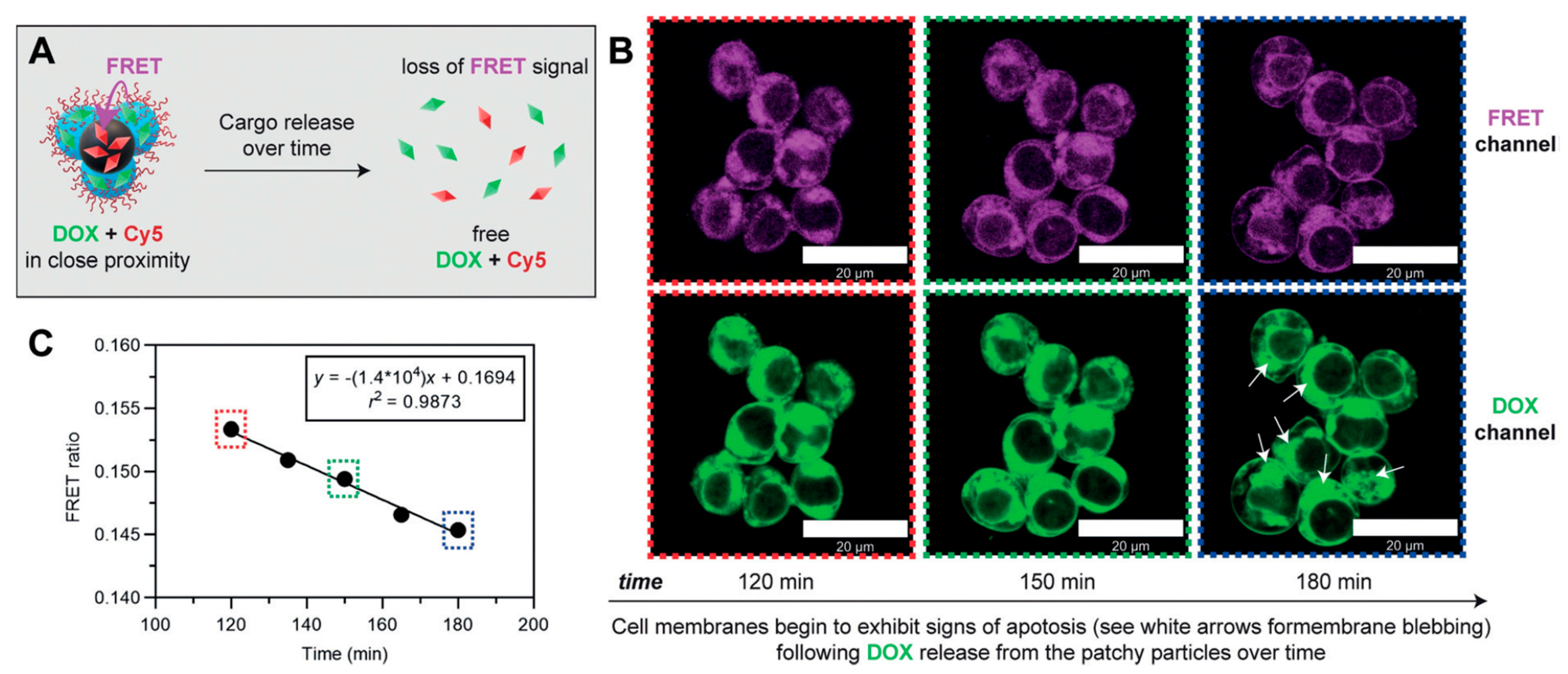 Biosensors 11 00505 g015