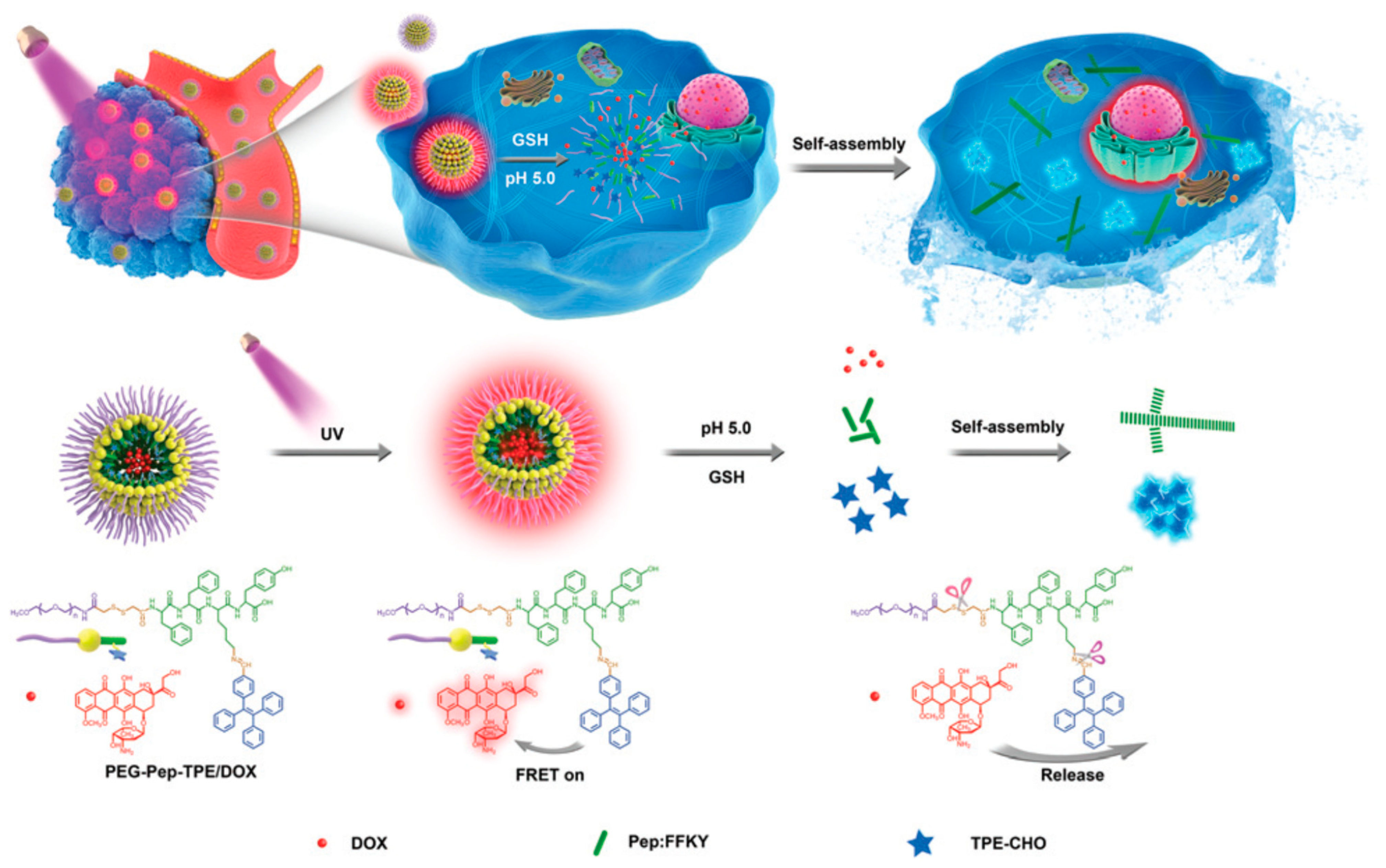 Biosensors 11 00505 g016