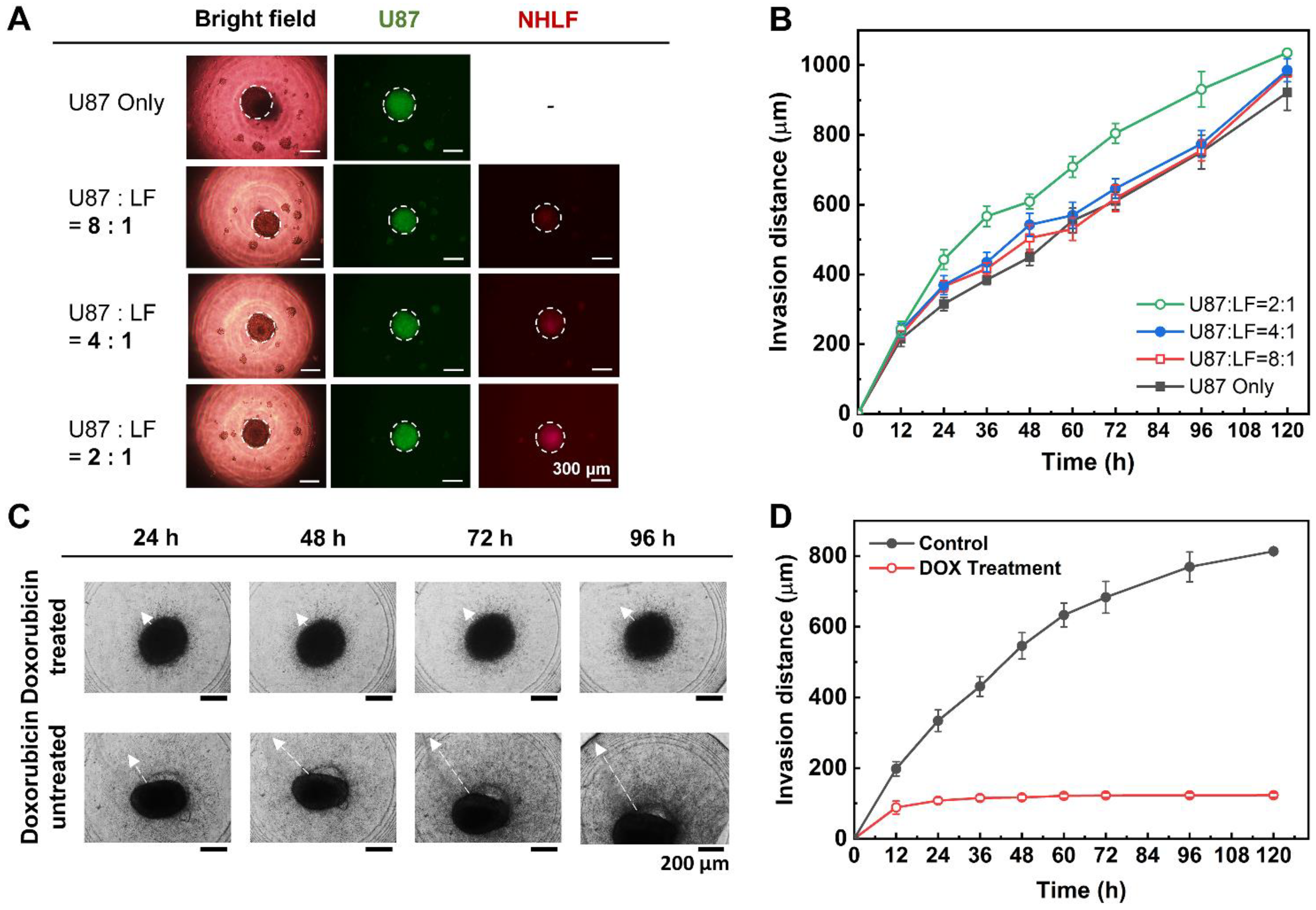 Biosensors 11 00506 g005