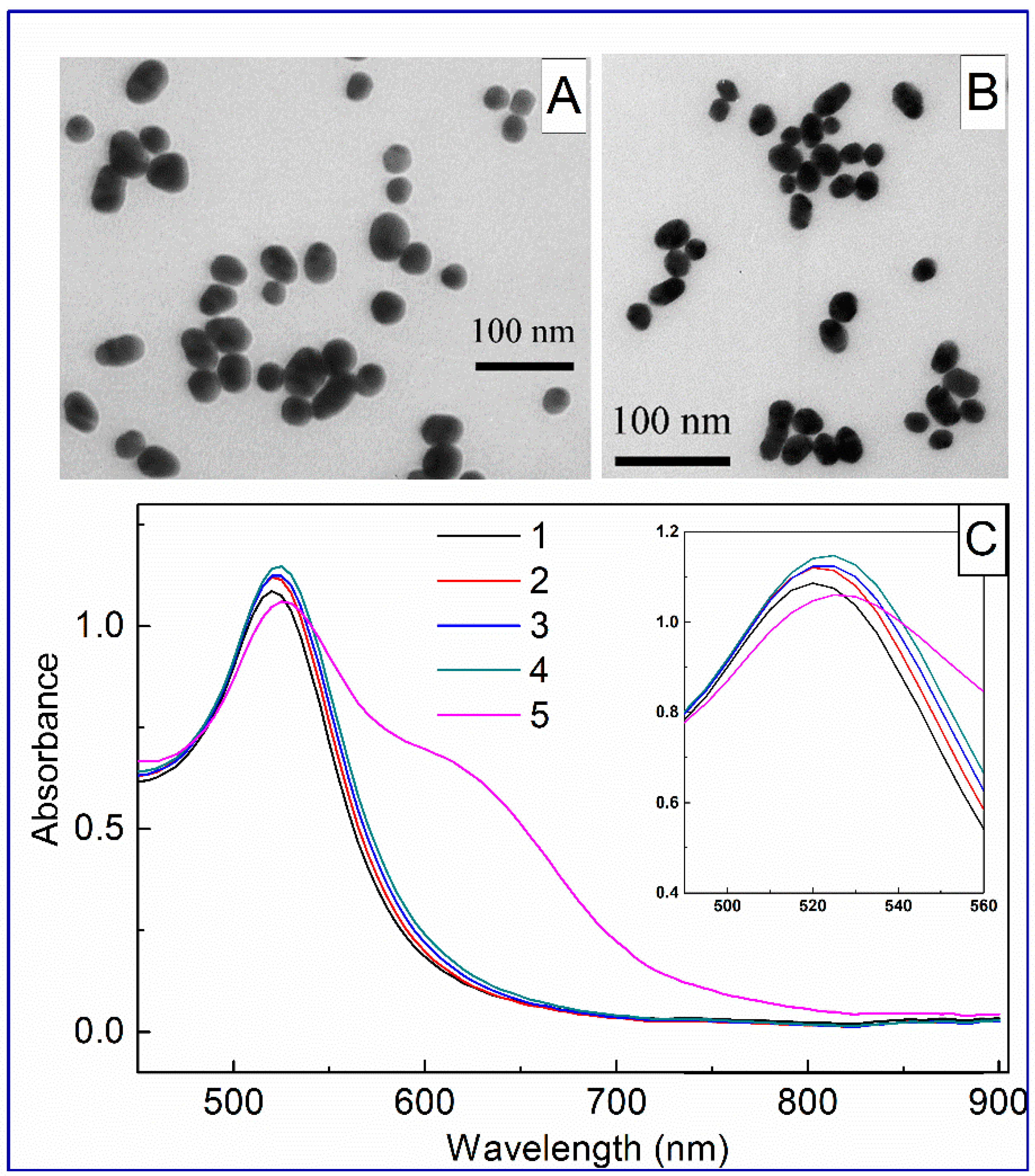 Biosensors 11 00510 g002