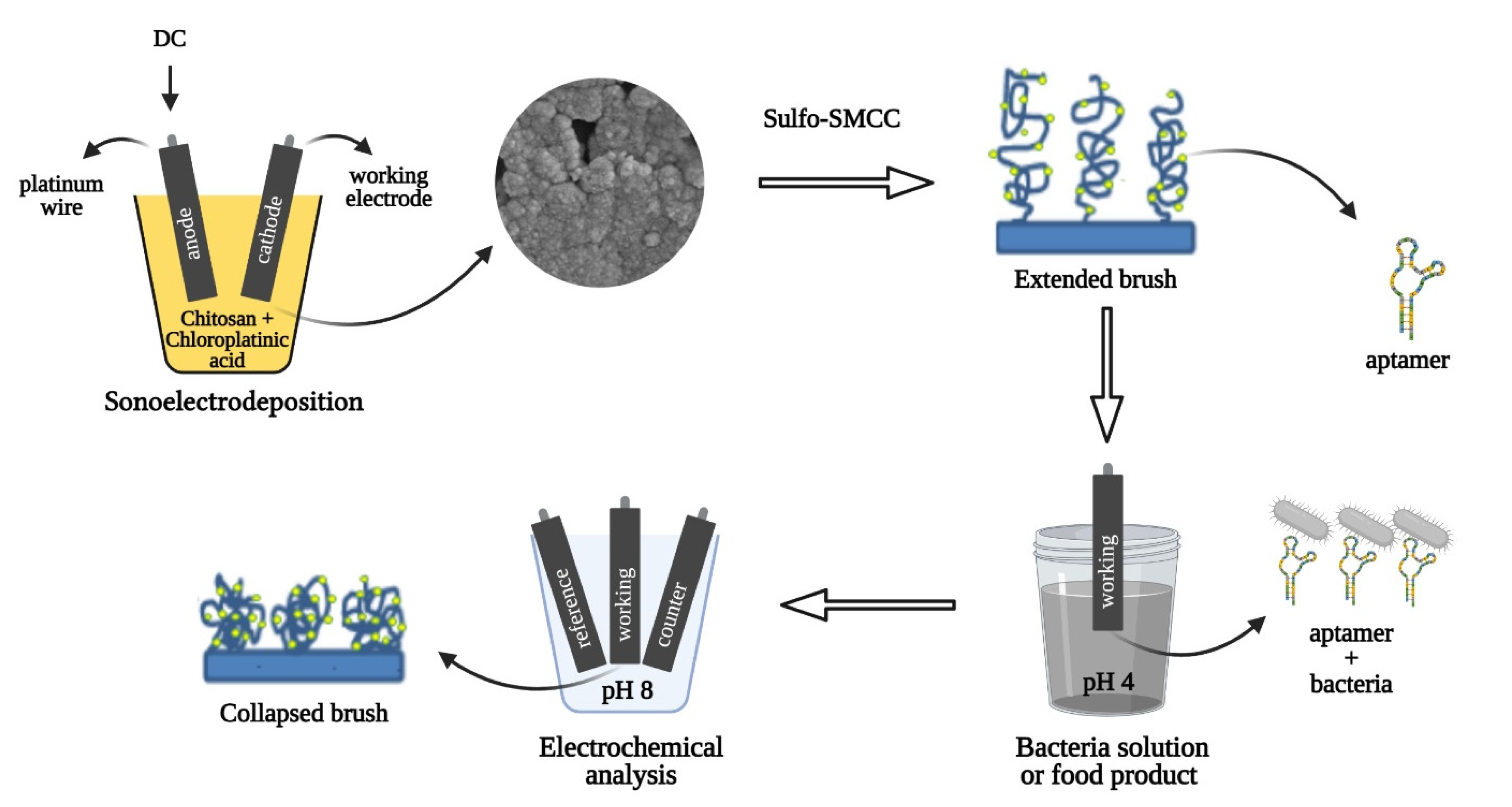 Biosensors 11 00511 g001