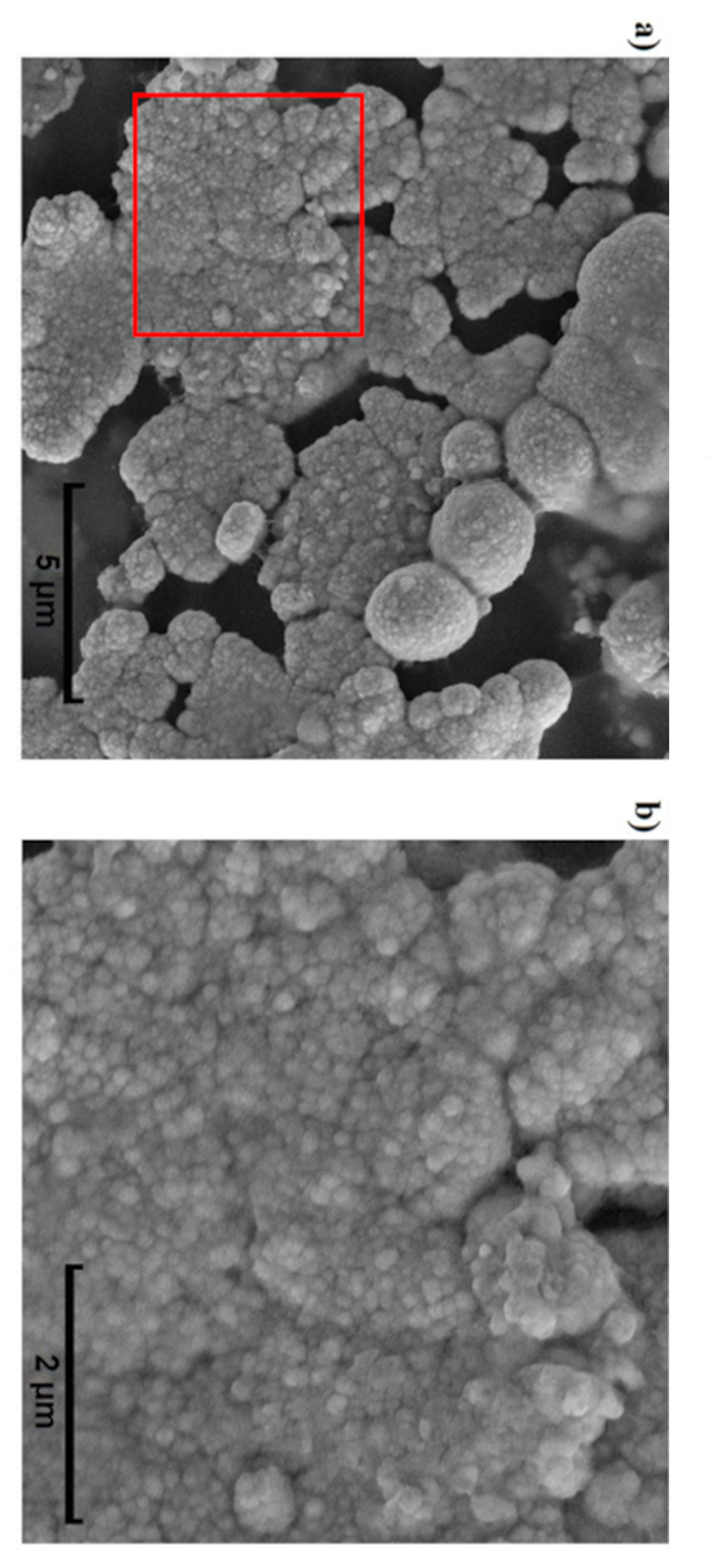 Biosensors 11 00511 g003