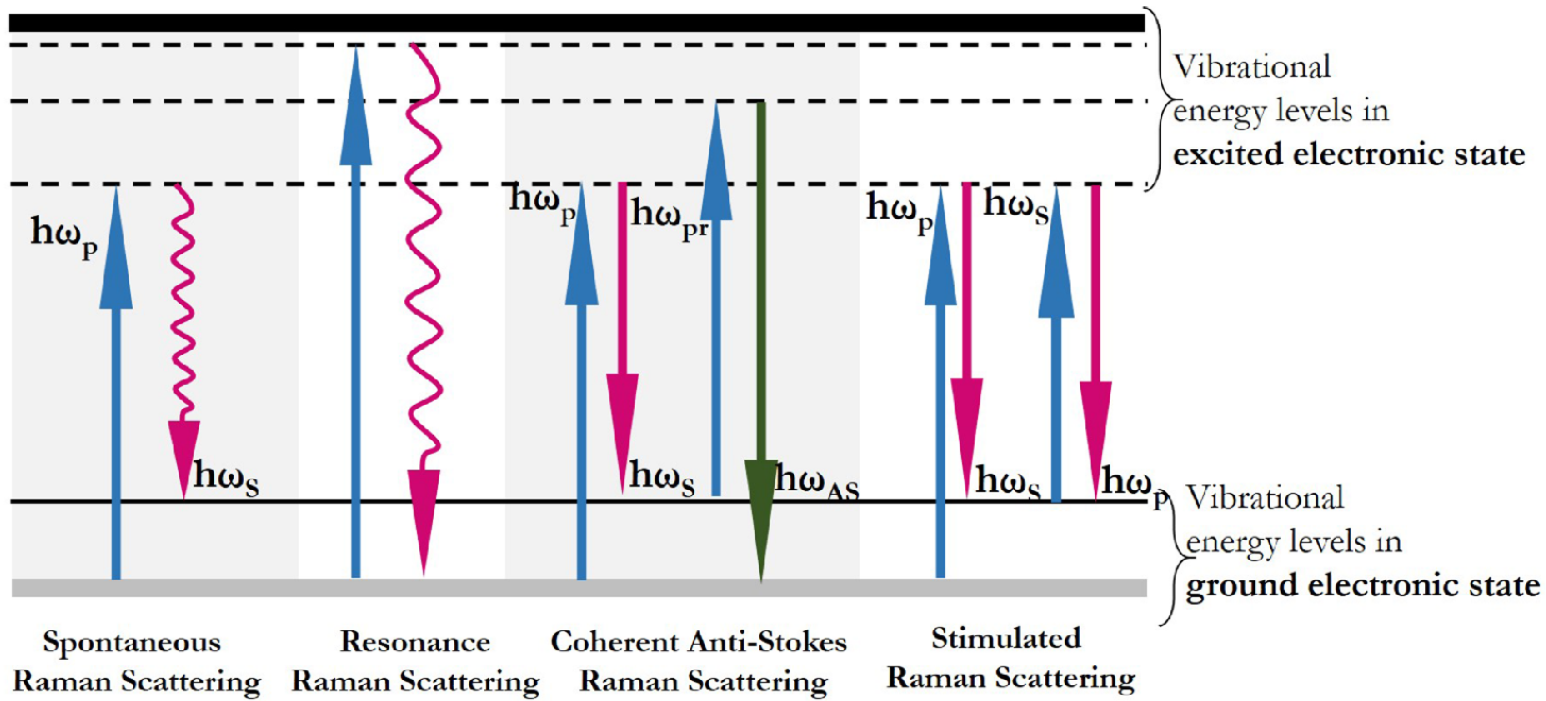 Biosensors 11 00512 g001