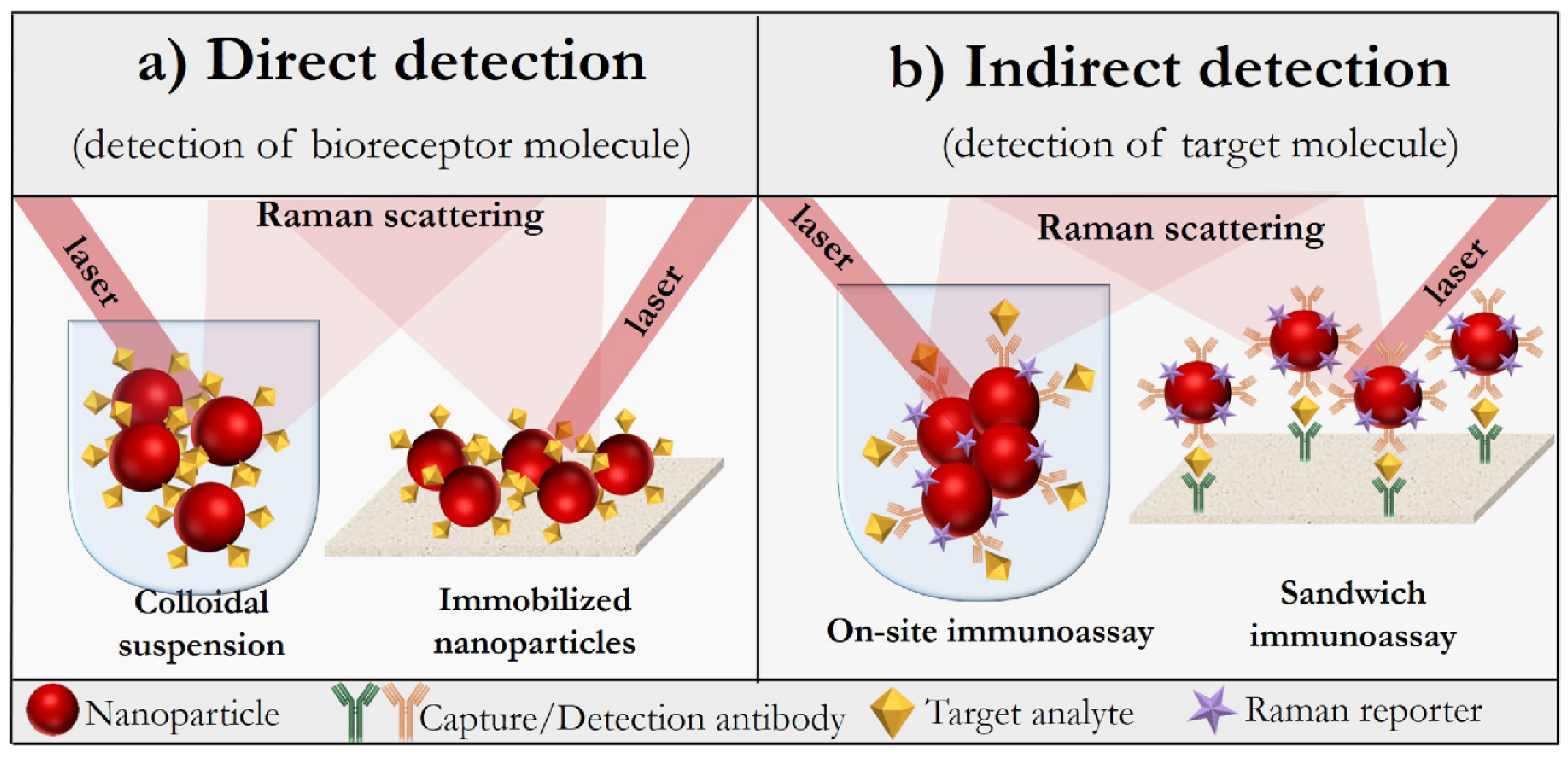 Biosensors 11 00512 g003