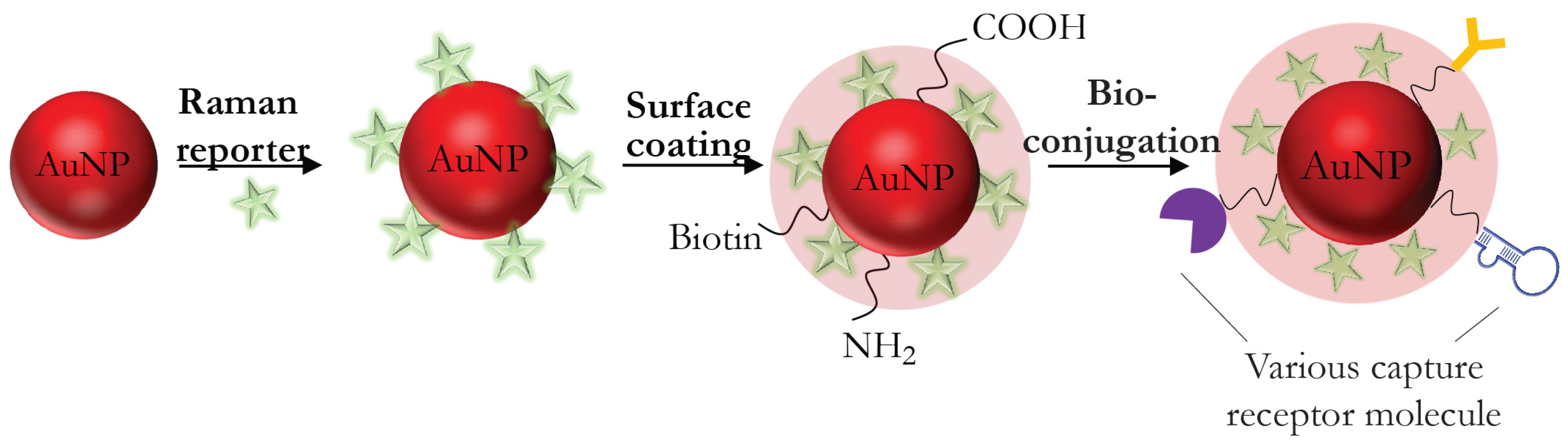 Biosensors 11 00512 g004