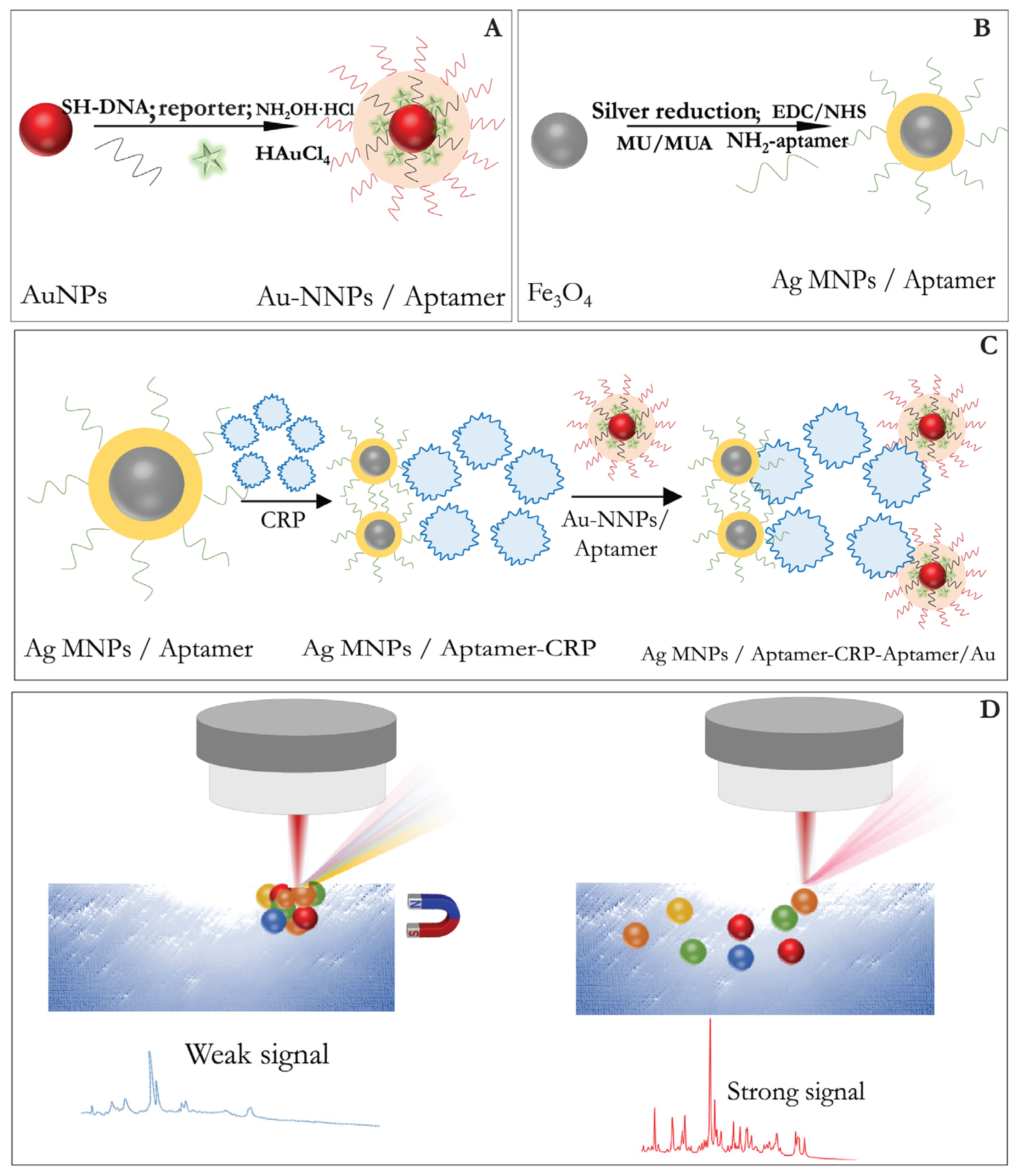 Biosensors 11 00512 g005